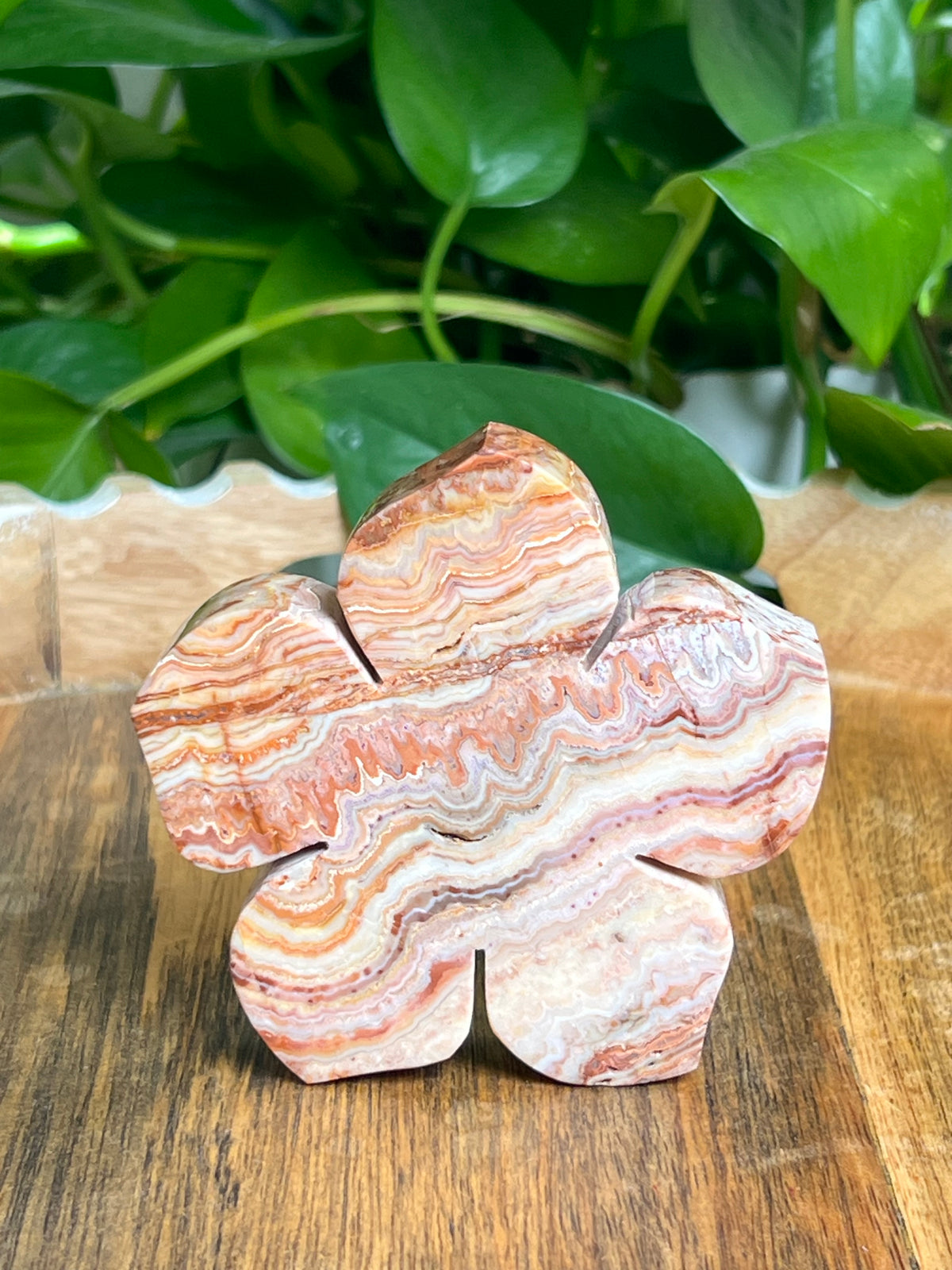 Crazy Lace Agate Flower: CB