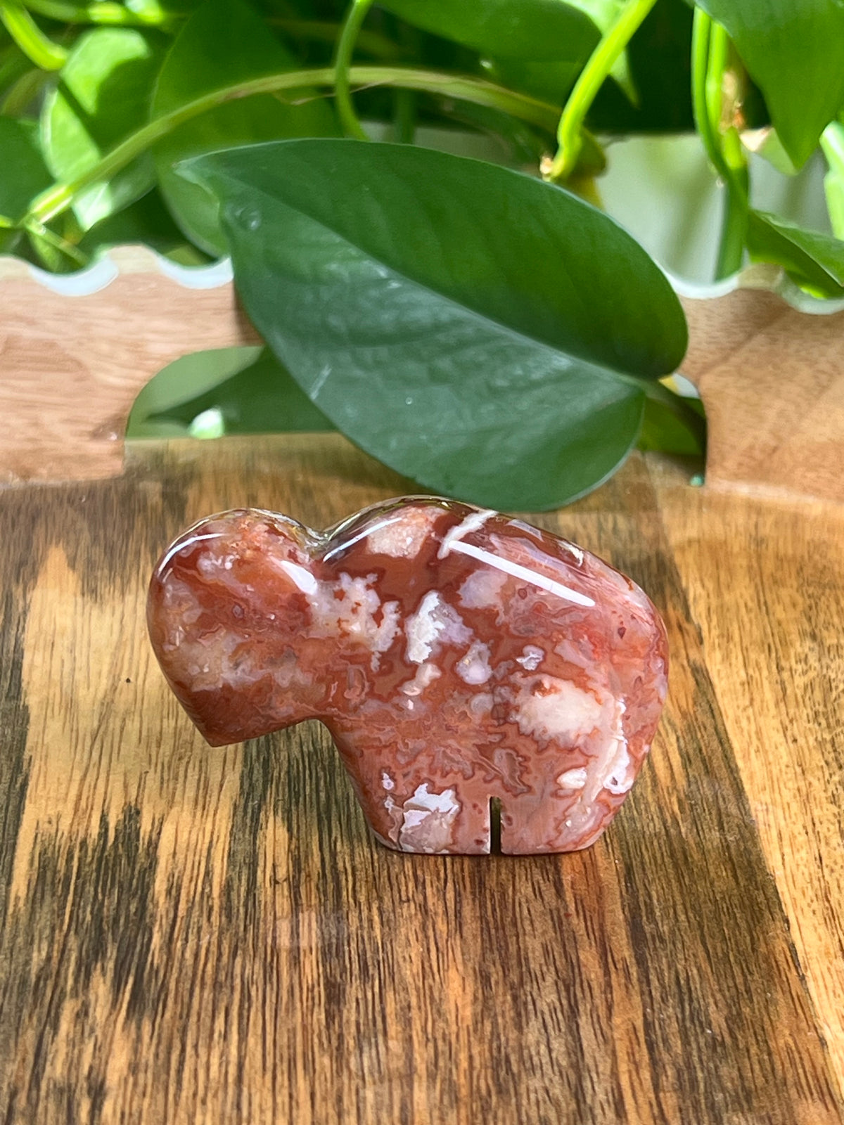 Carnelian Mini Buffalo: Bi