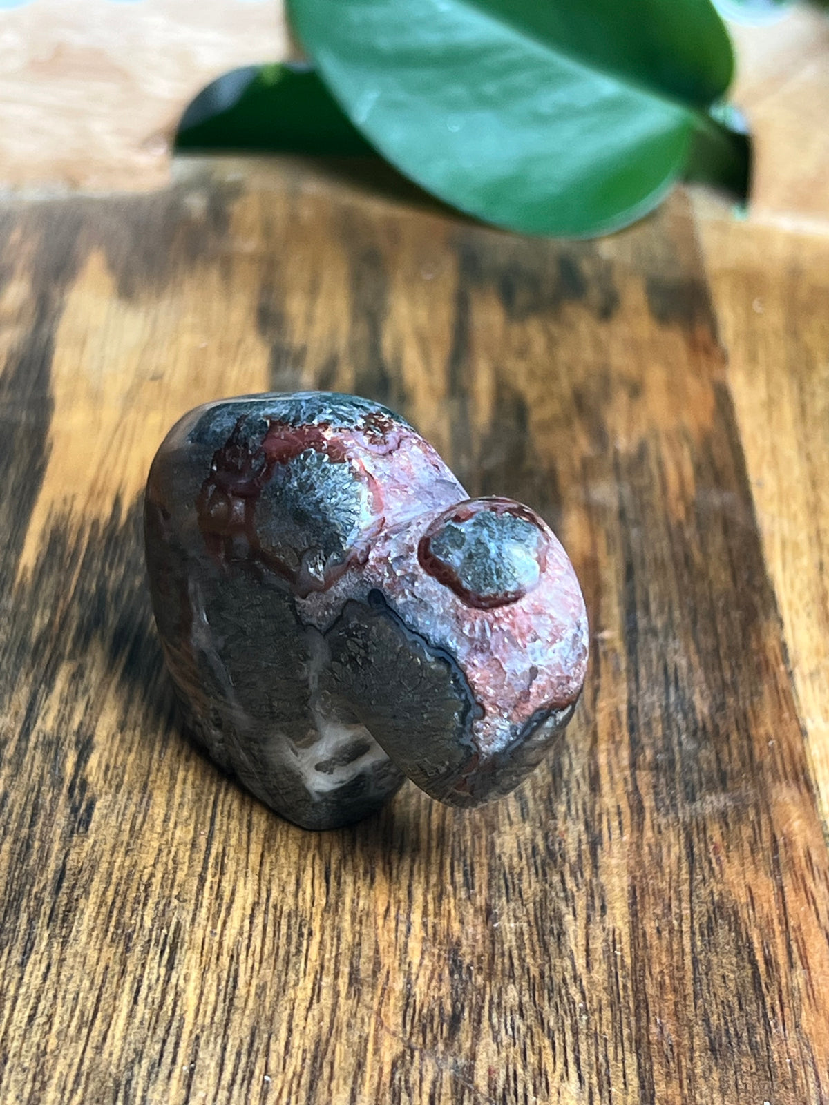 Marcasite Mini Buffalo: MN