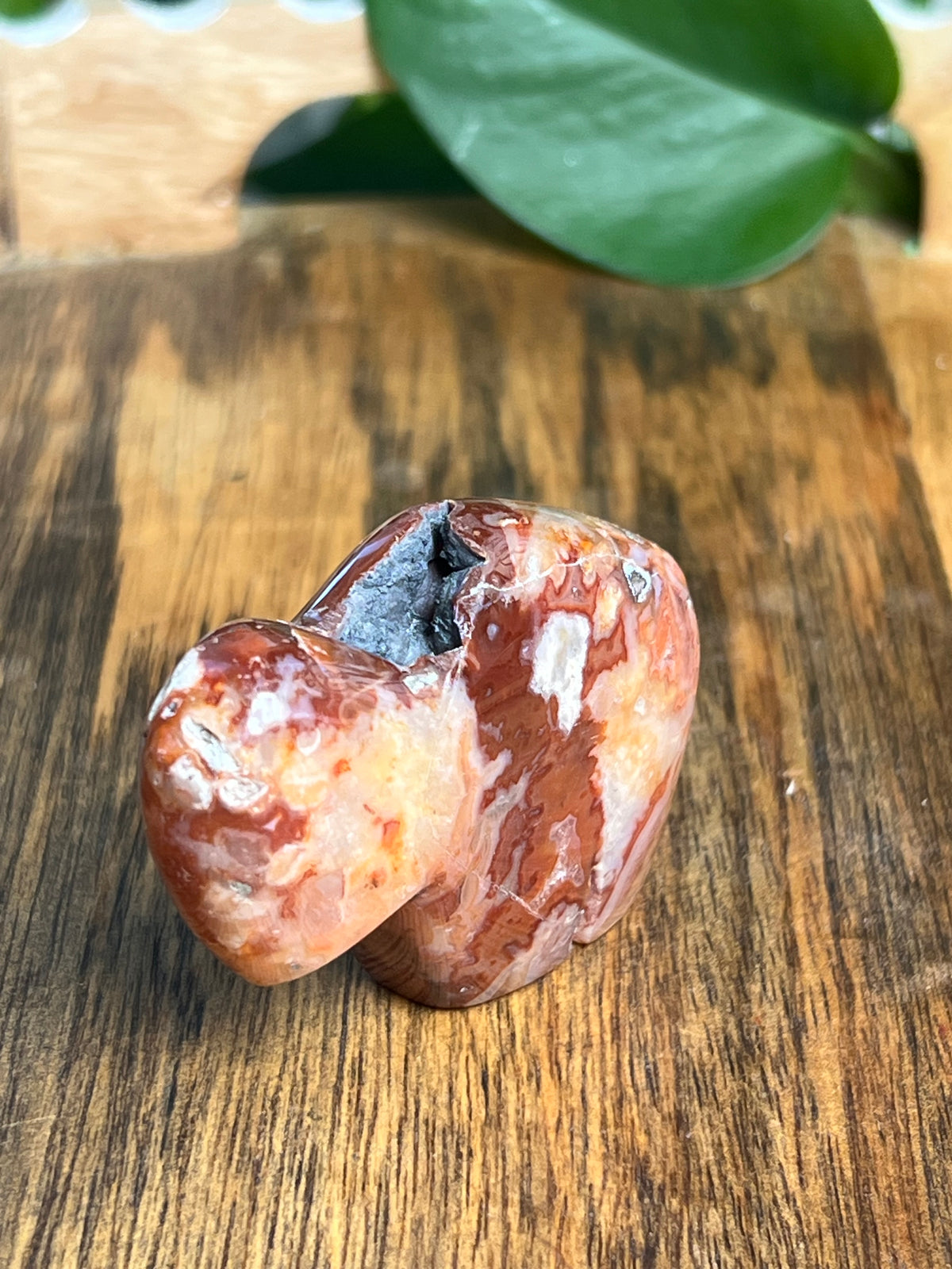 Carnelian Mini Buffalo: BH