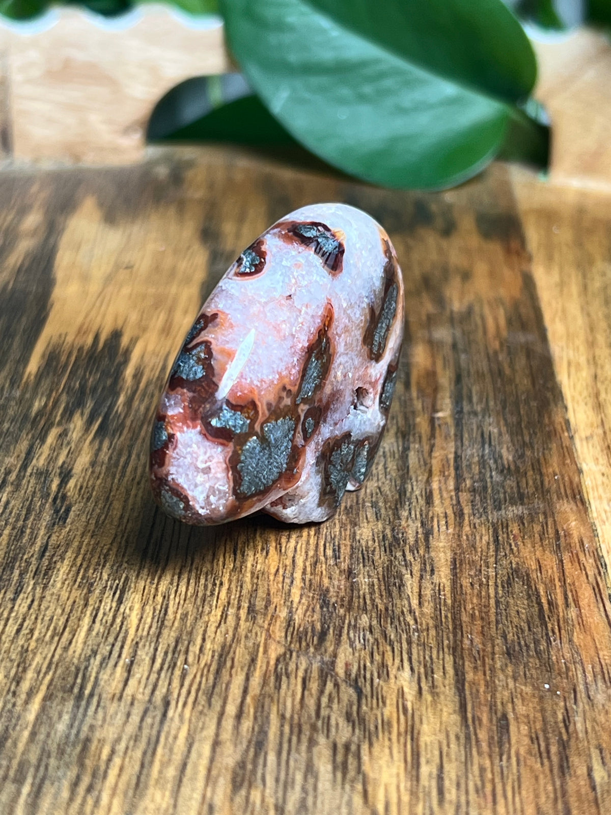 Marcasite Mini Bear: BQ