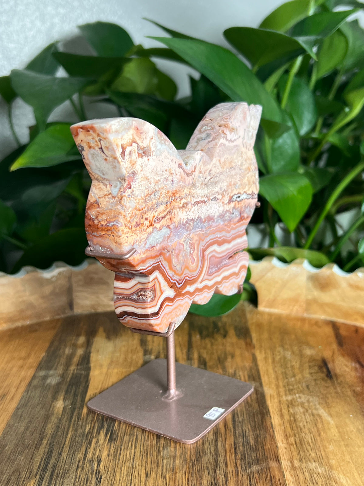 Crazy Lace Agate Butterfly: F