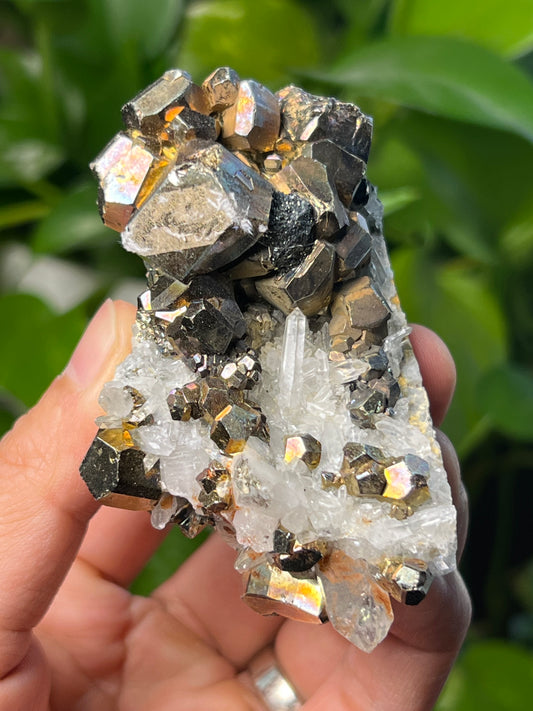 Rainbow Pyrite Quartz
