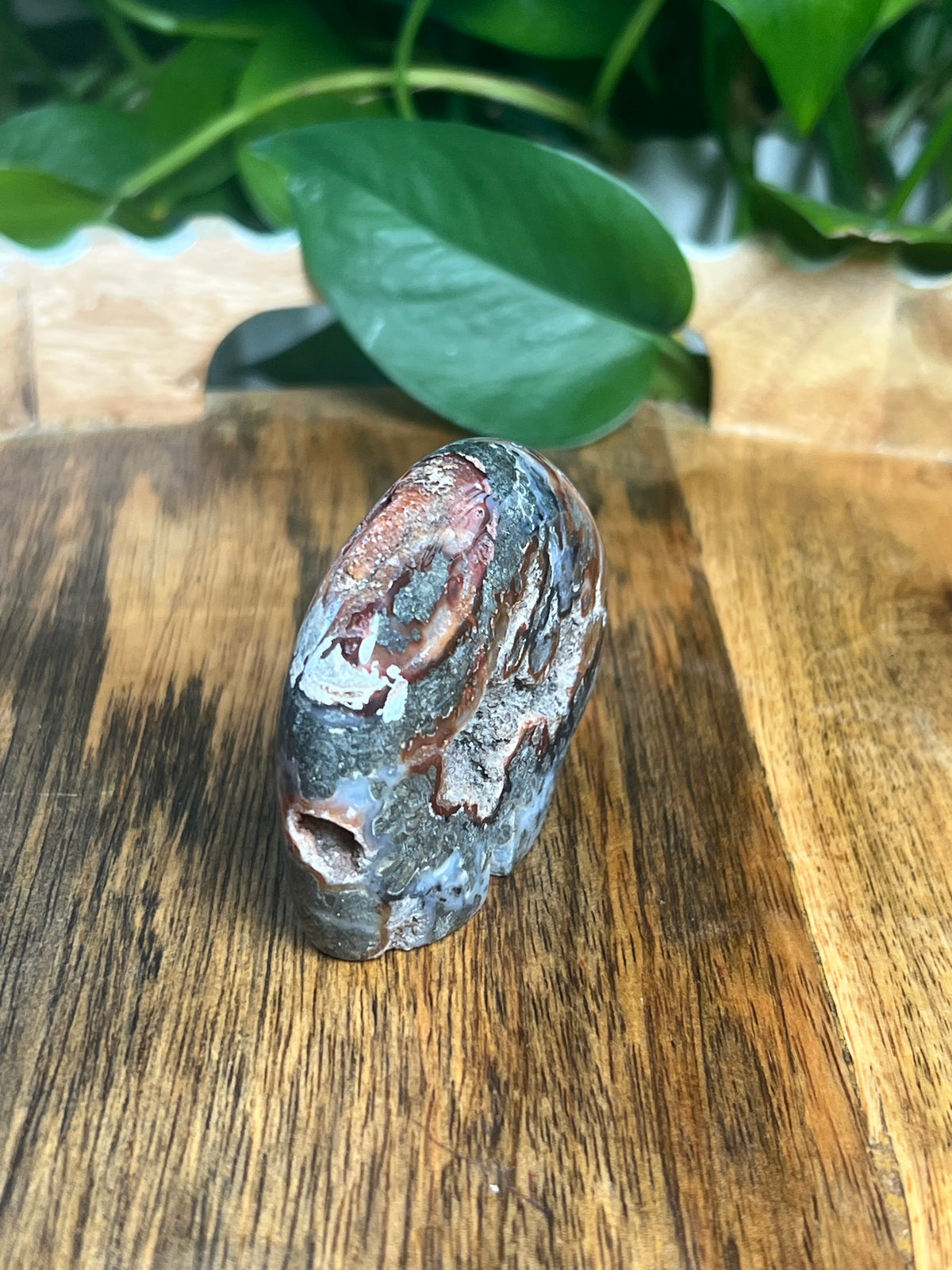 Marcasite Bear: TX
