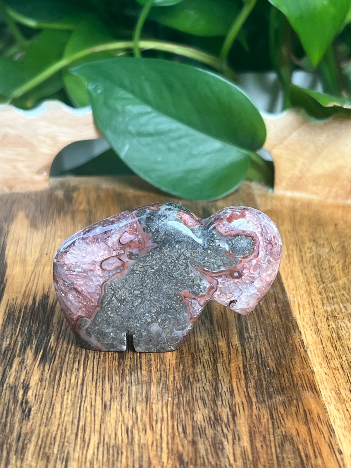 Marcasite Mini Buffalo: MK
