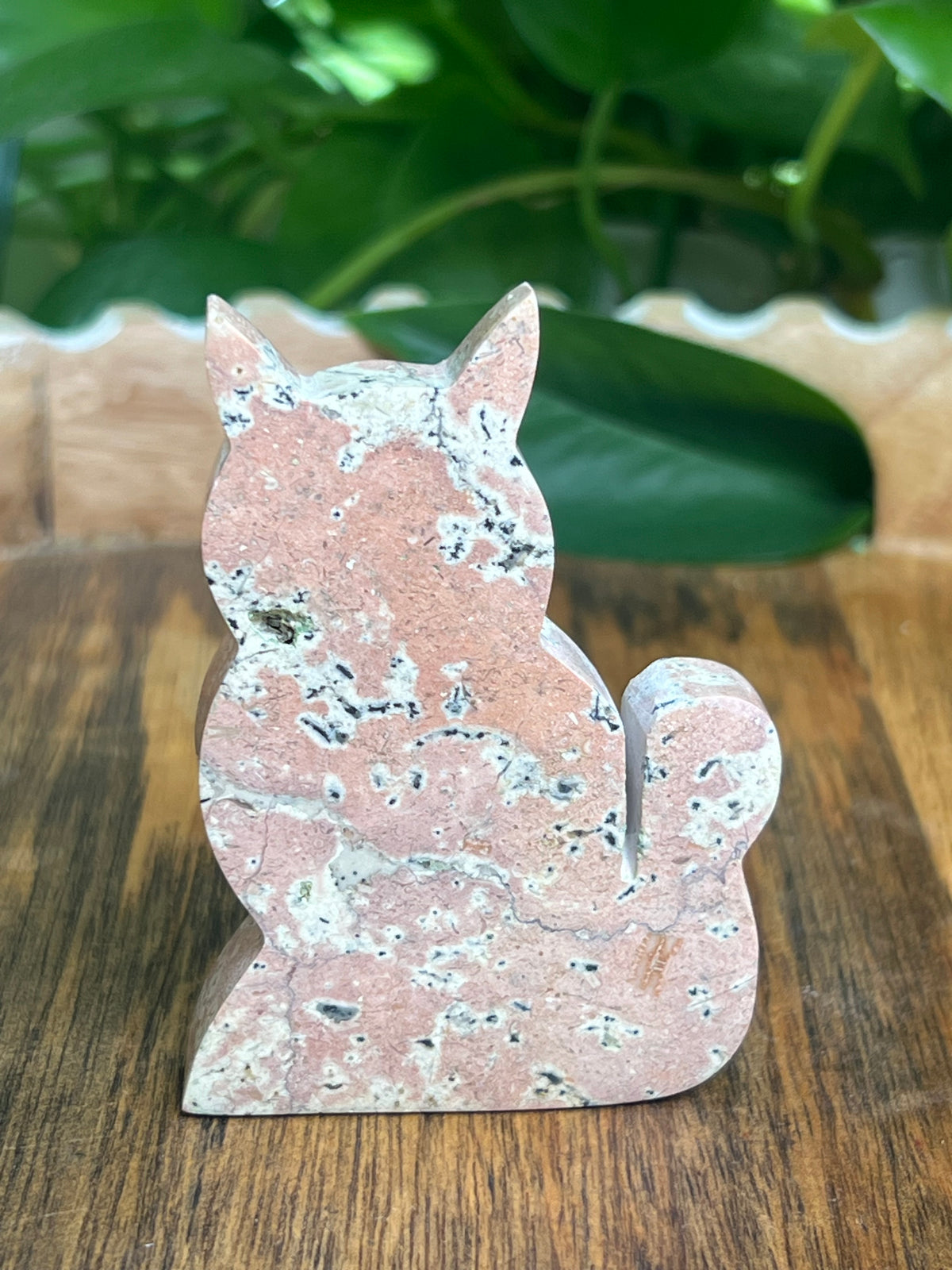 Dendritic Jasper Cat: AK