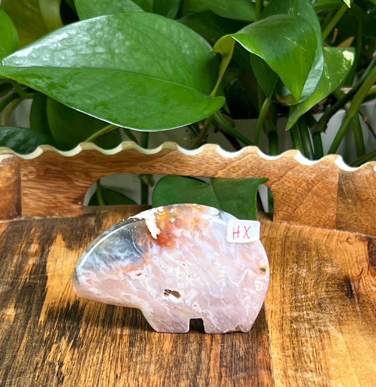 Rainbow Plume Agate Bears