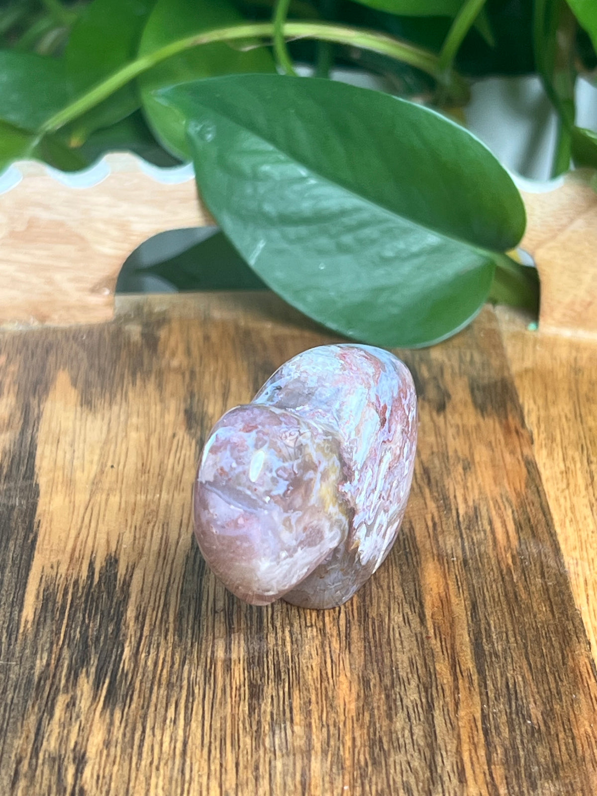 Sumatra Plume Agate Mini Buffalo: Di
