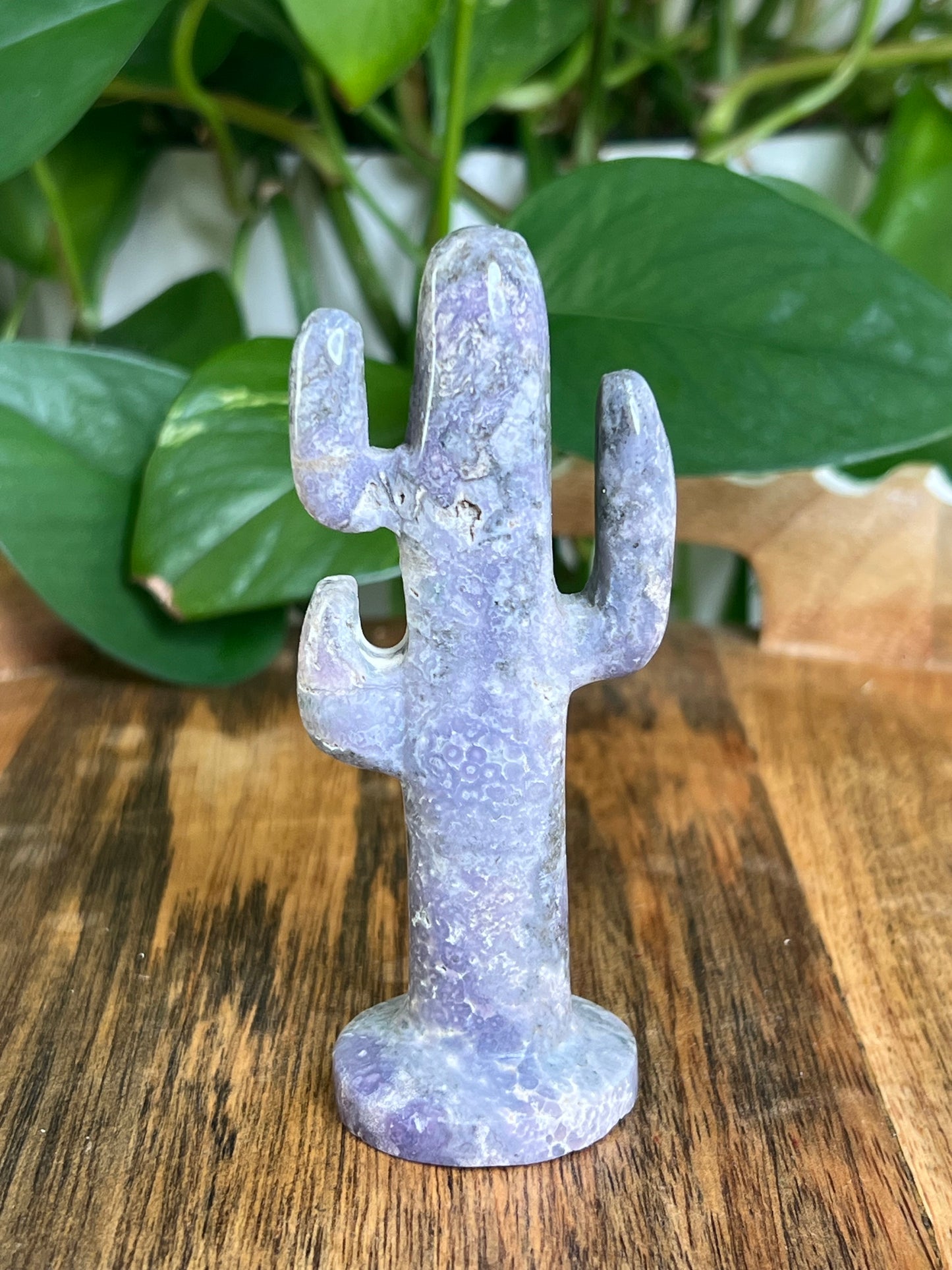 Grape Agate Cactus: AS