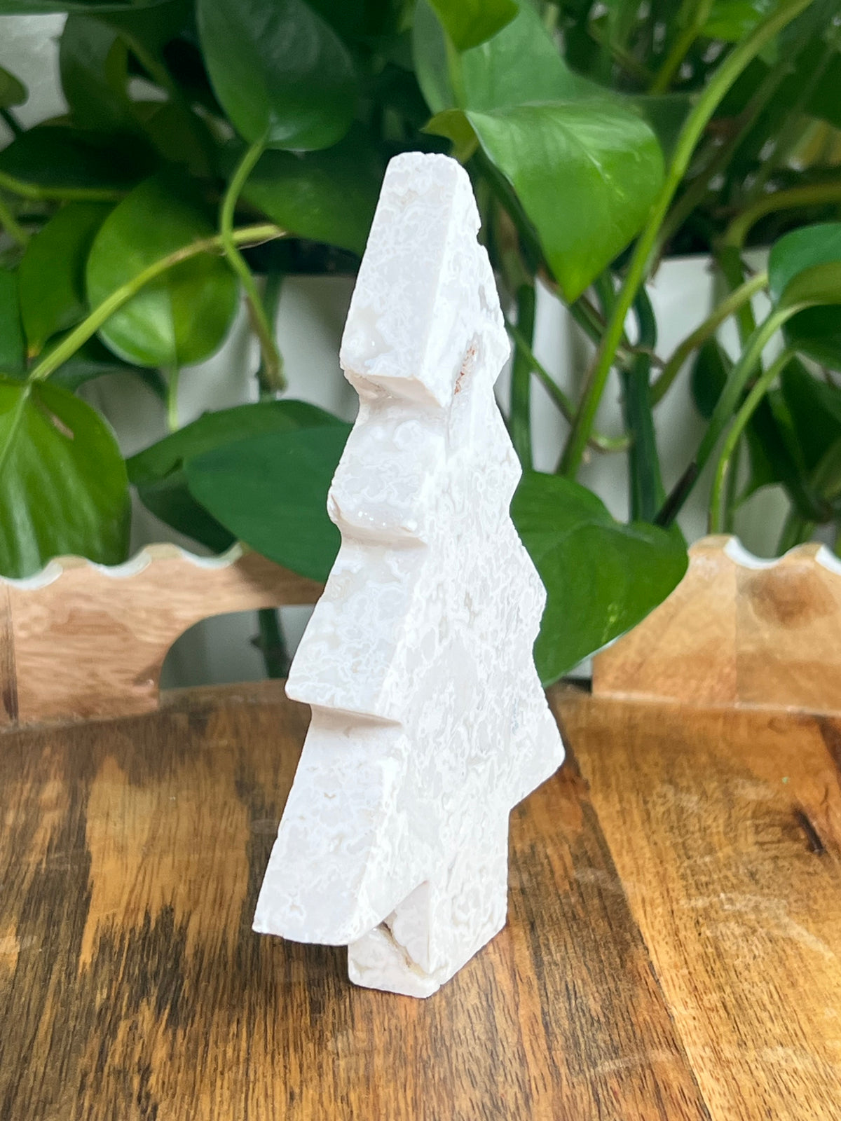 White Plume Agate Tree: CC