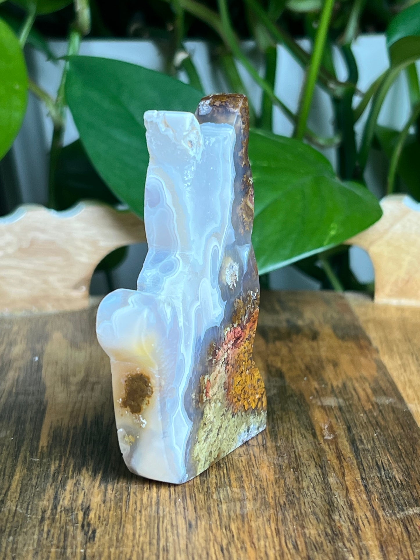 Scenic Moss Agate Cat: HX