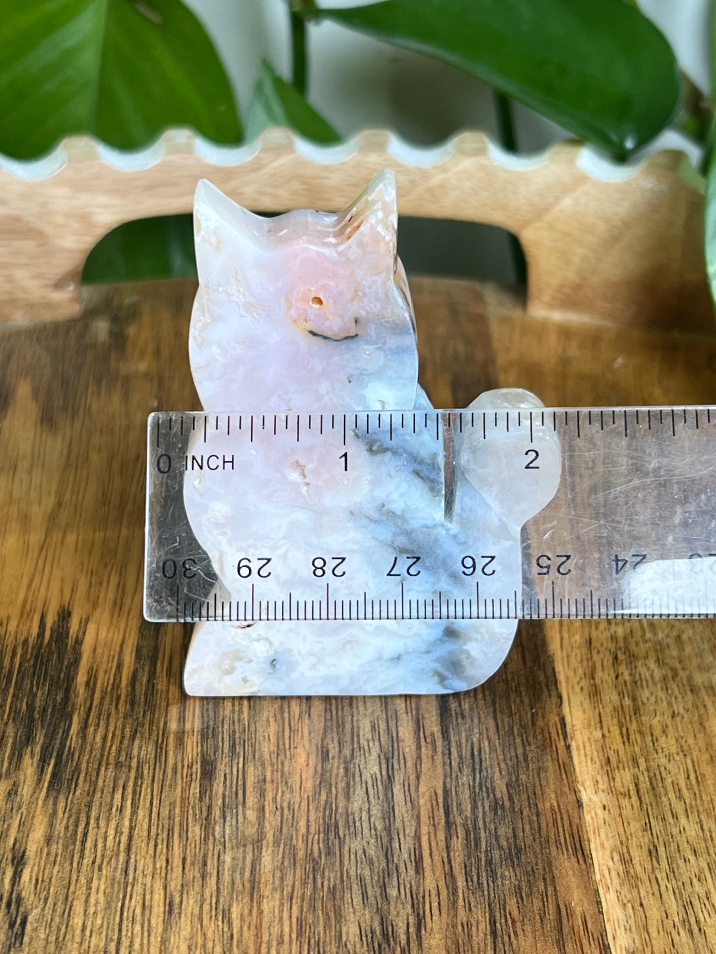 Rainbow Plume Agate Cat NQ