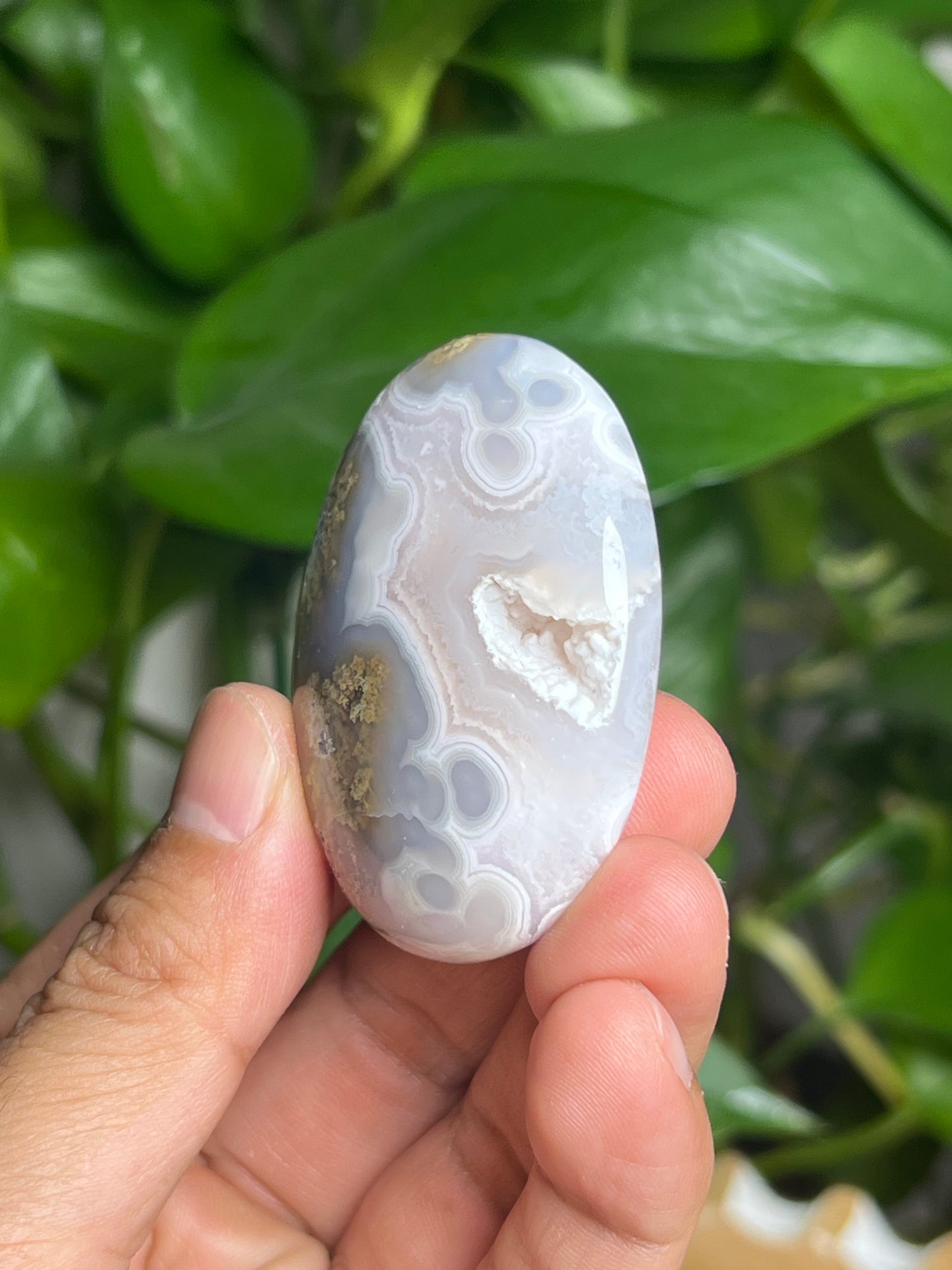 Scenic Moss Agate Palmstone: BL