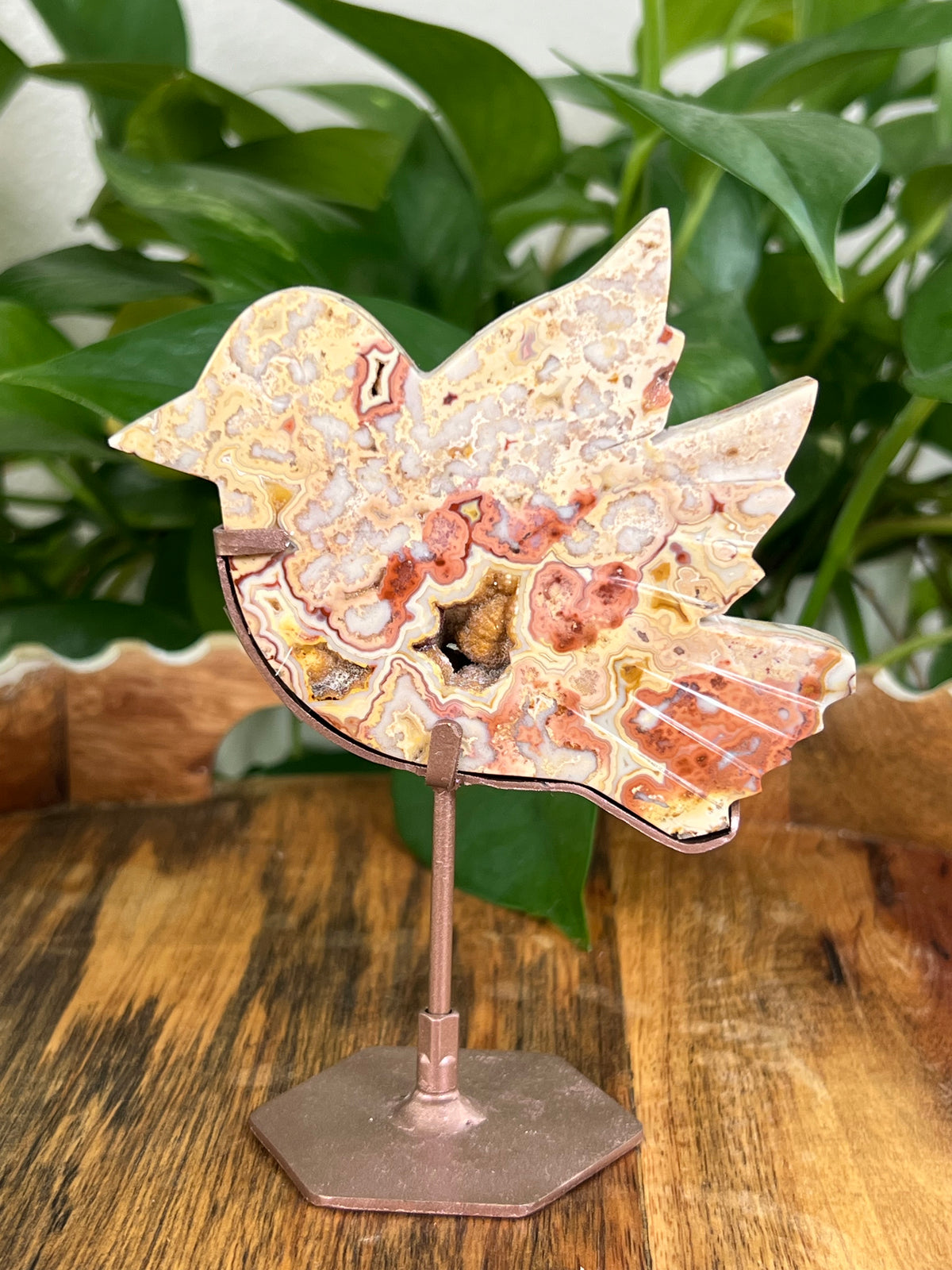 Crazy Lace Agate Birds