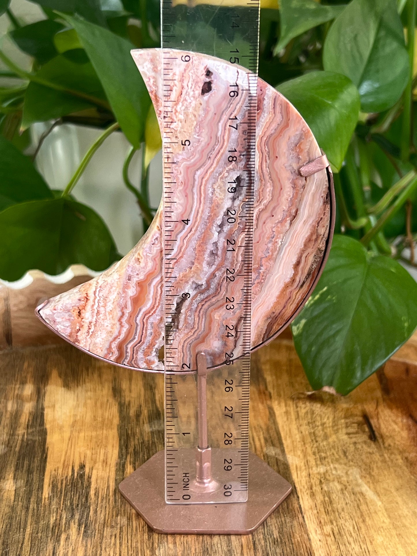 Crazy Lace Agate Moon Z