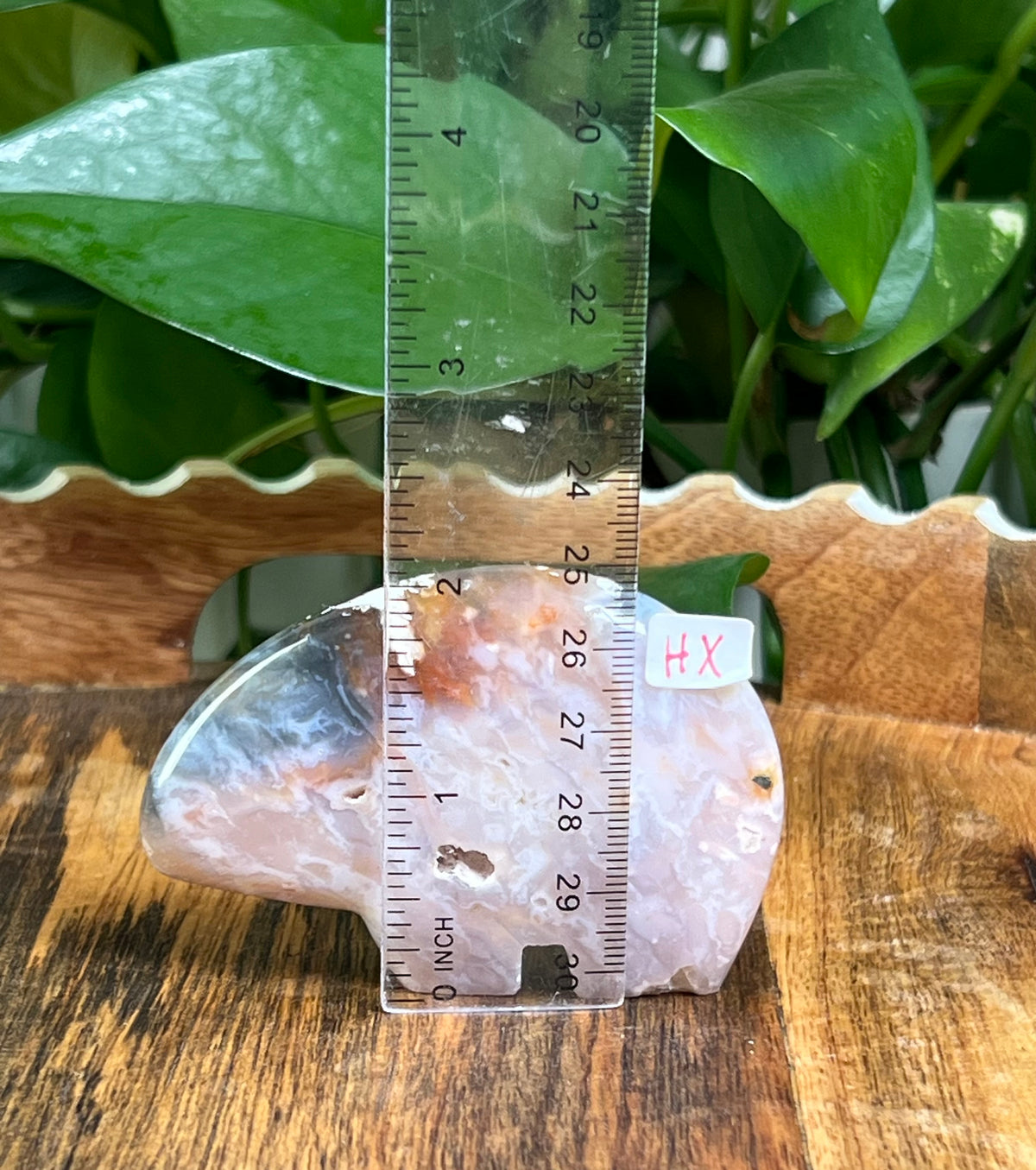Rainbow Plume Agate Bears