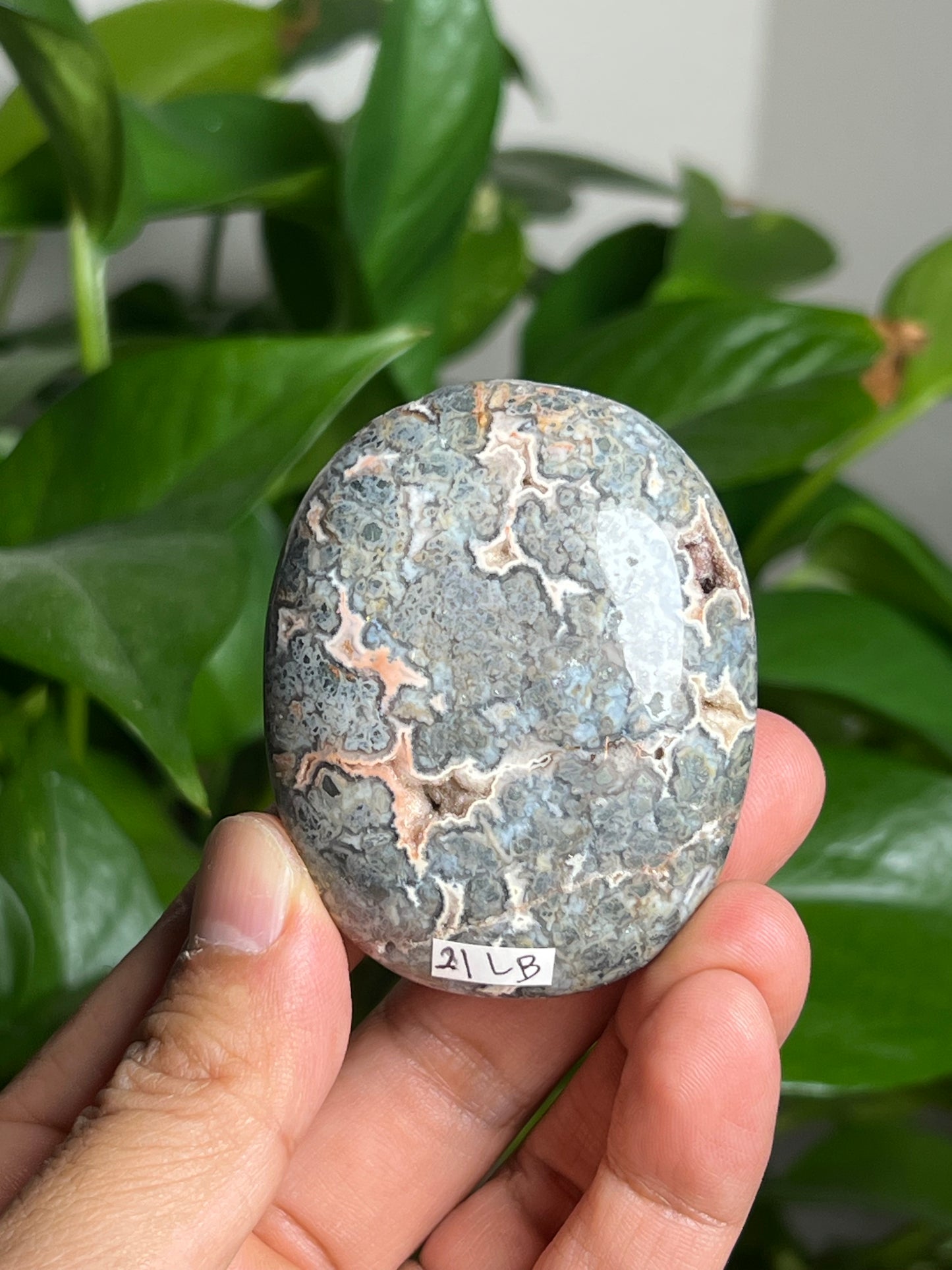Marcasite Palmstone: LB