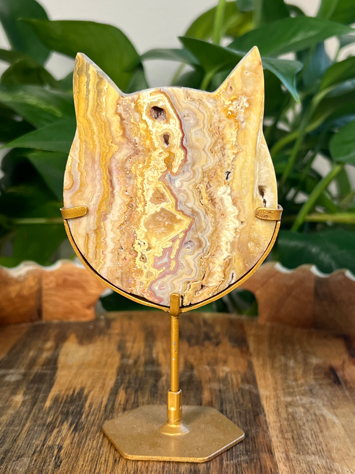 Yellow Crazy Lace Agate Cat Heads