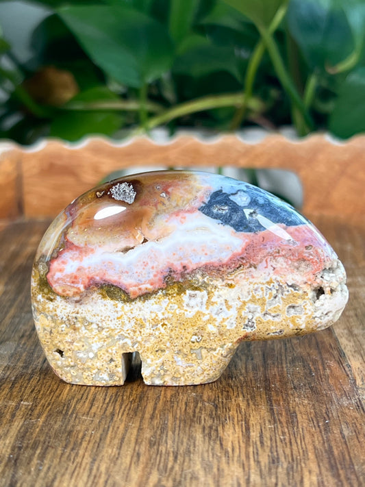 Sea Jasper Bears