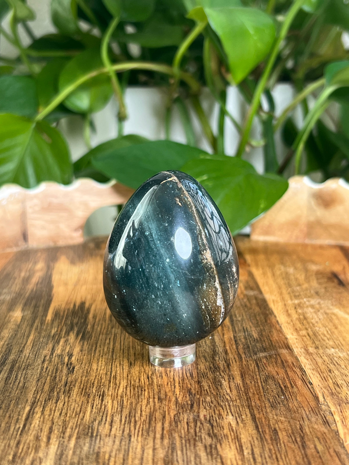 Blue Green Jasper Egg: RE