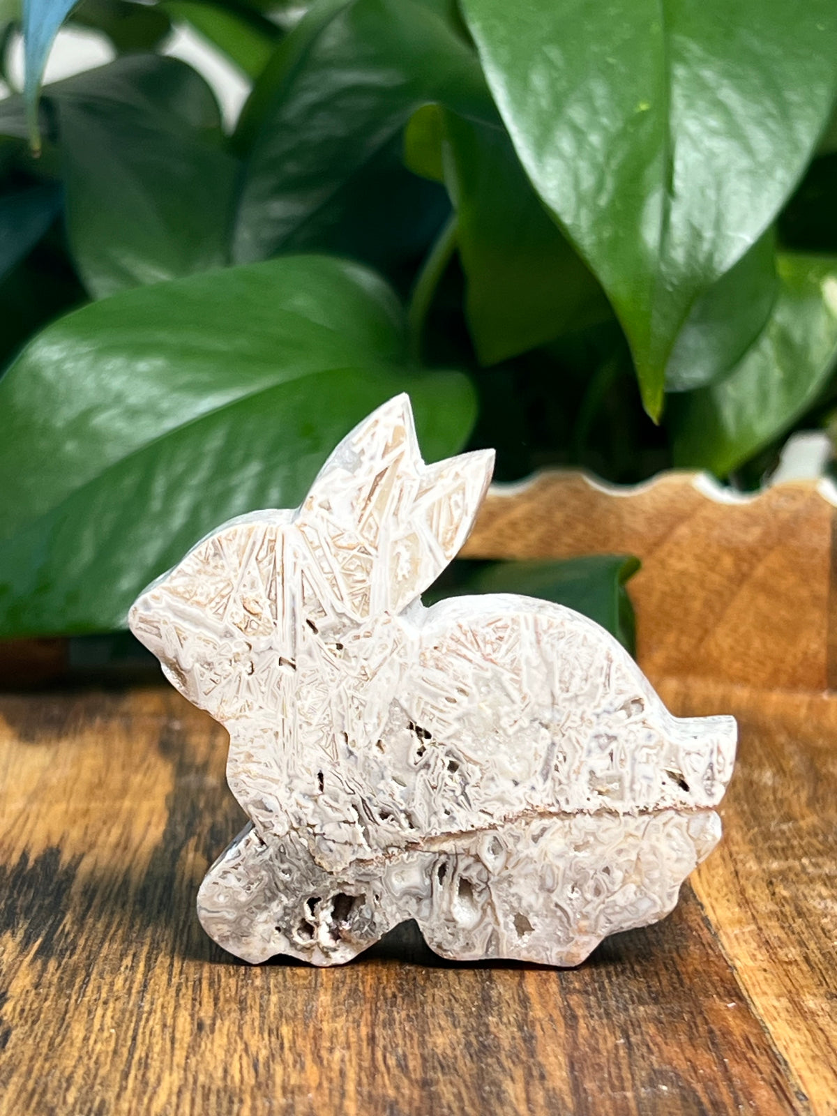 Tube Agate Bunnies
