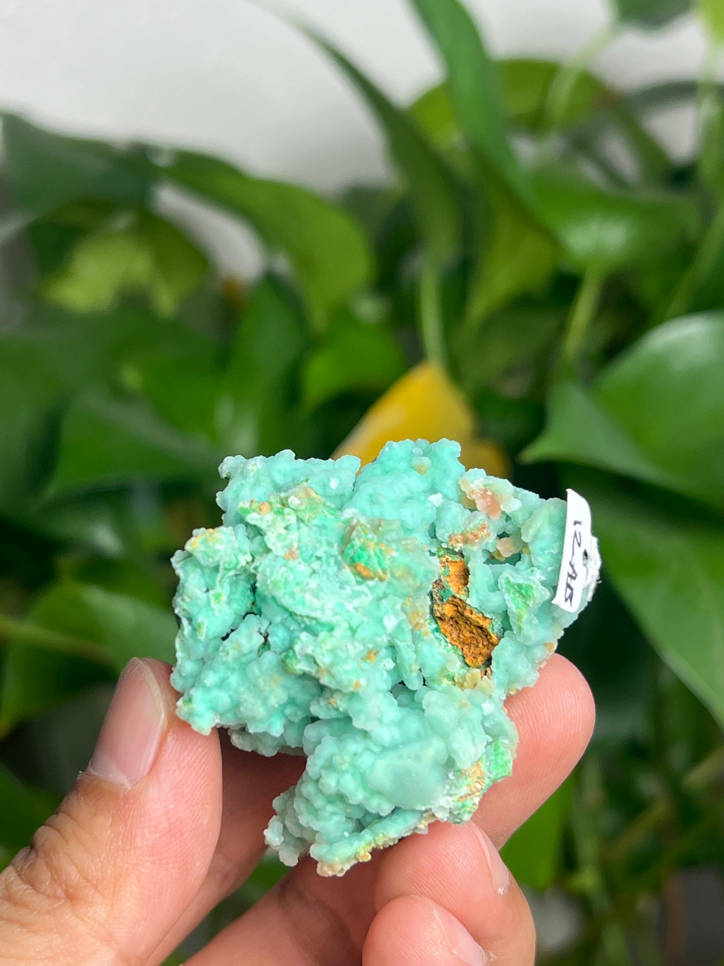 Smithsonite Specimen AB