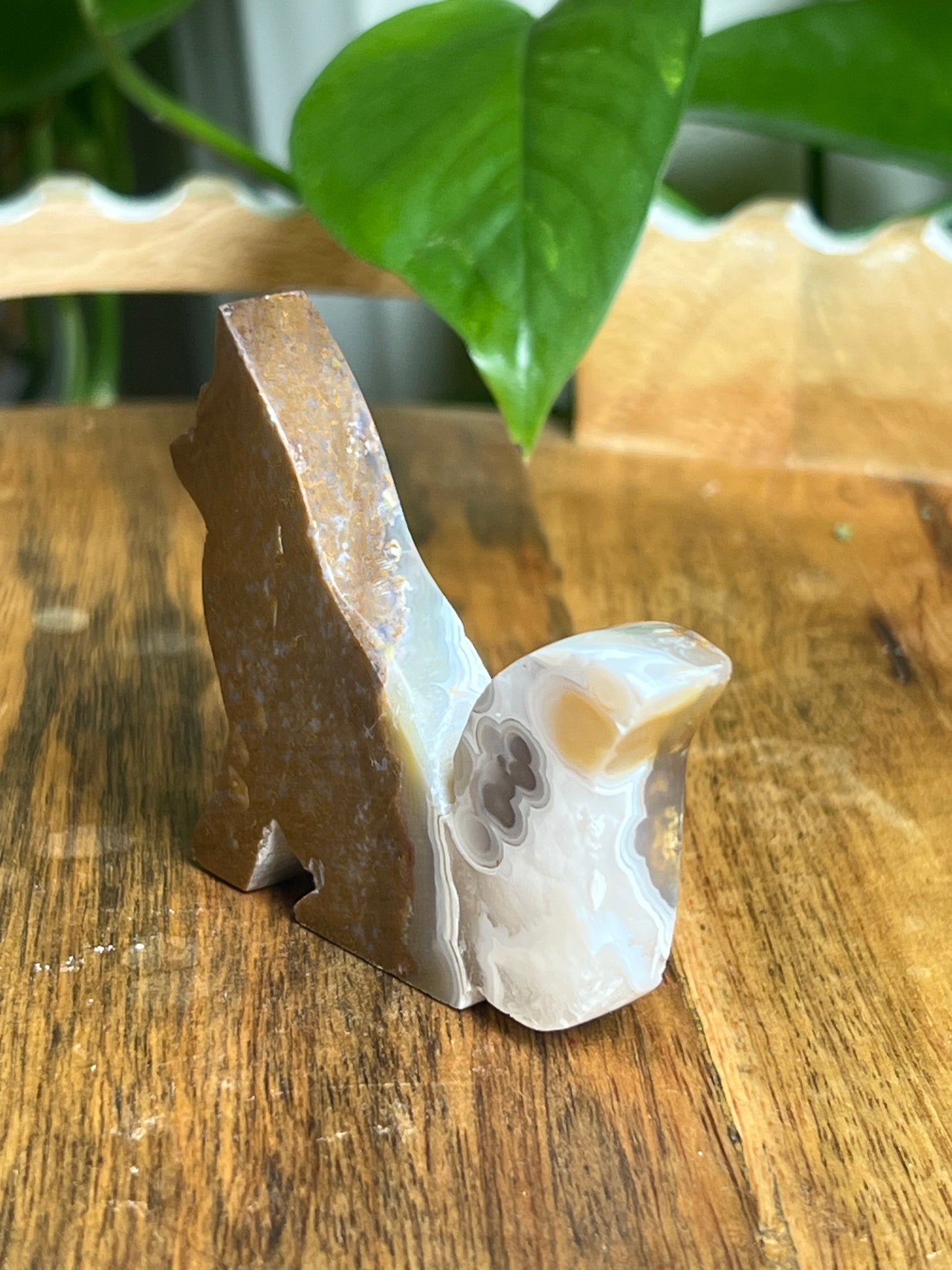 Scenic Moss Agate Fox Pi