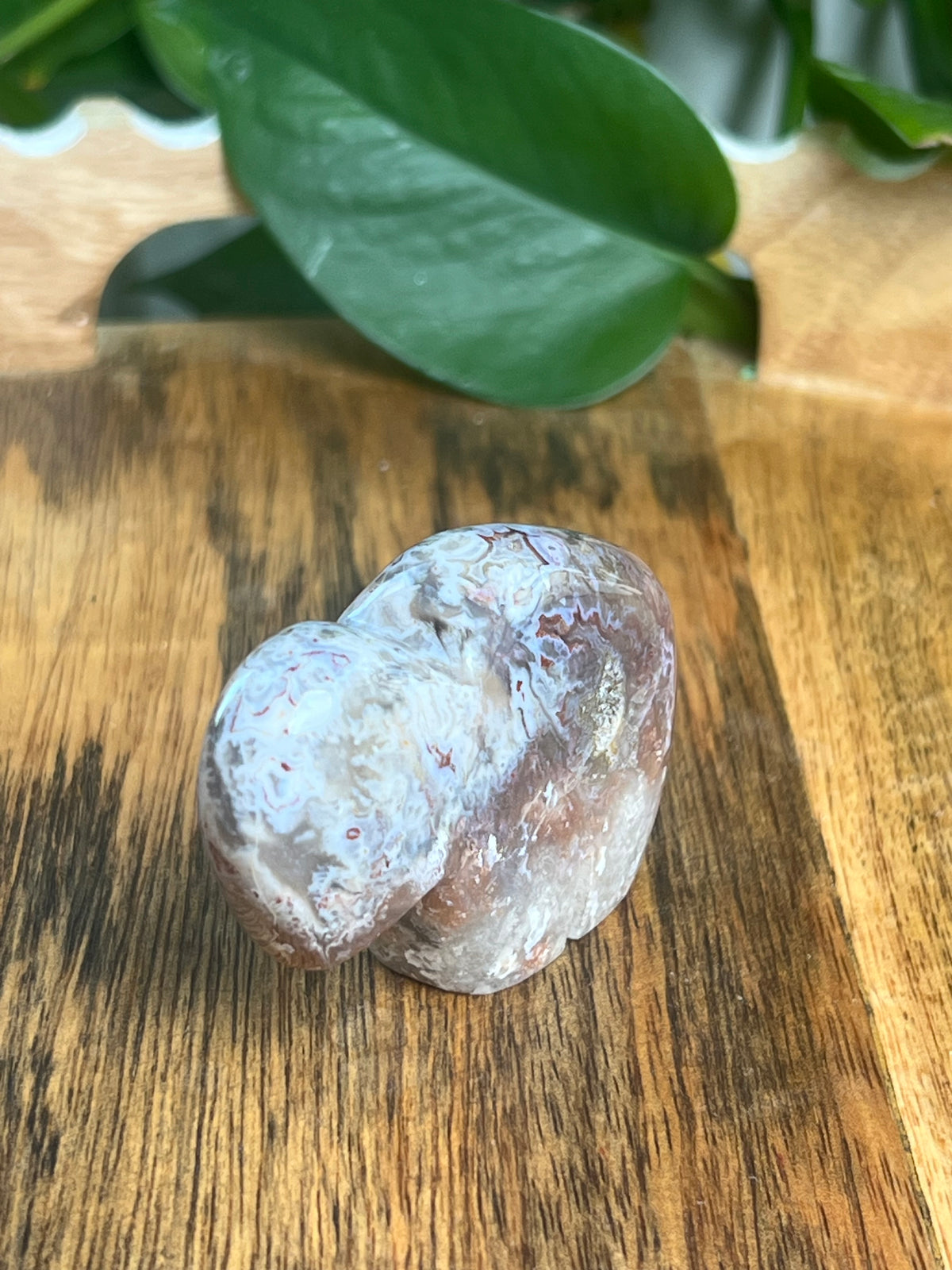 Sumatra Plume Agate Mini Buffalo: DB