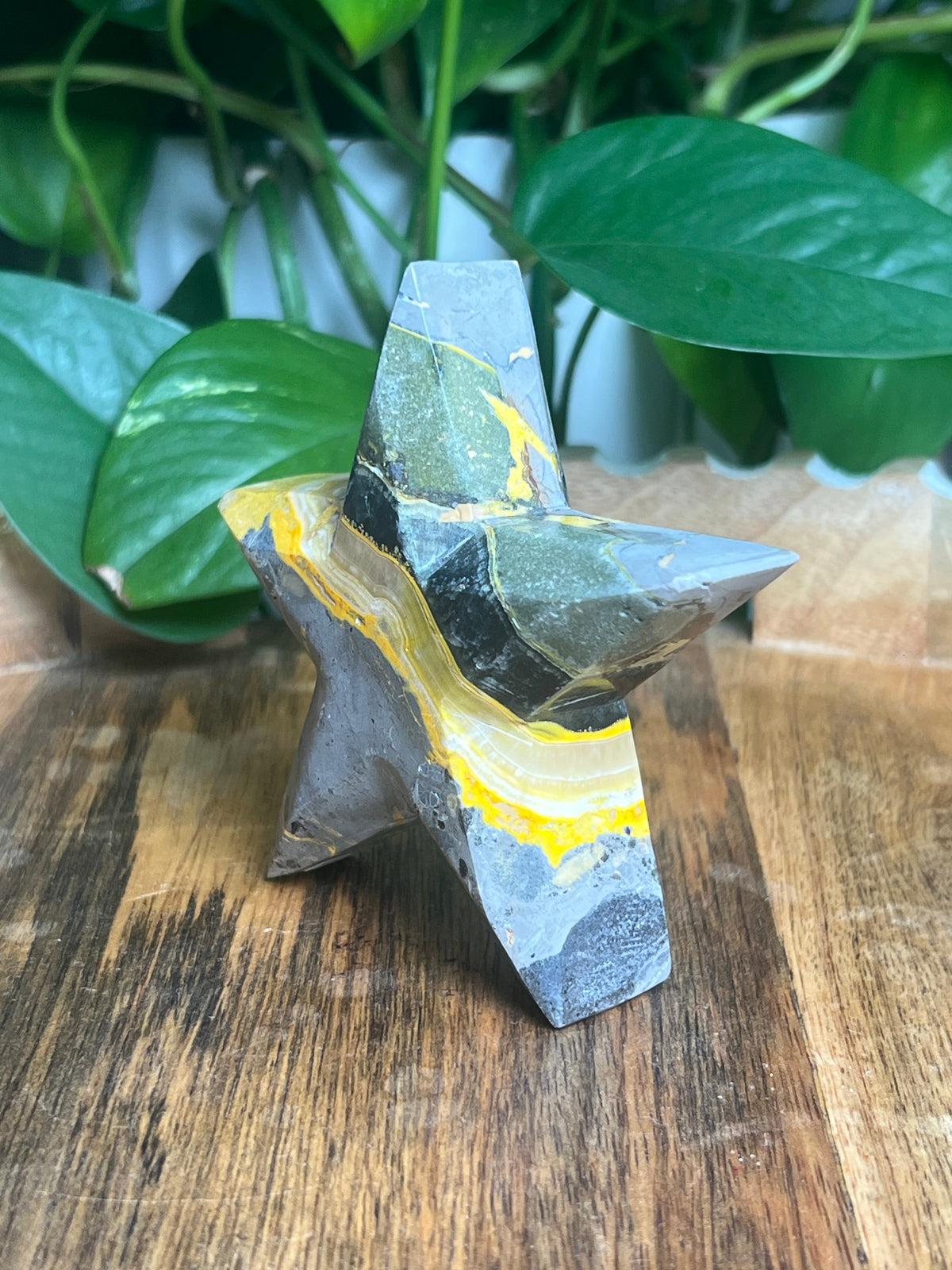 Bumblebee Jasper Star: E