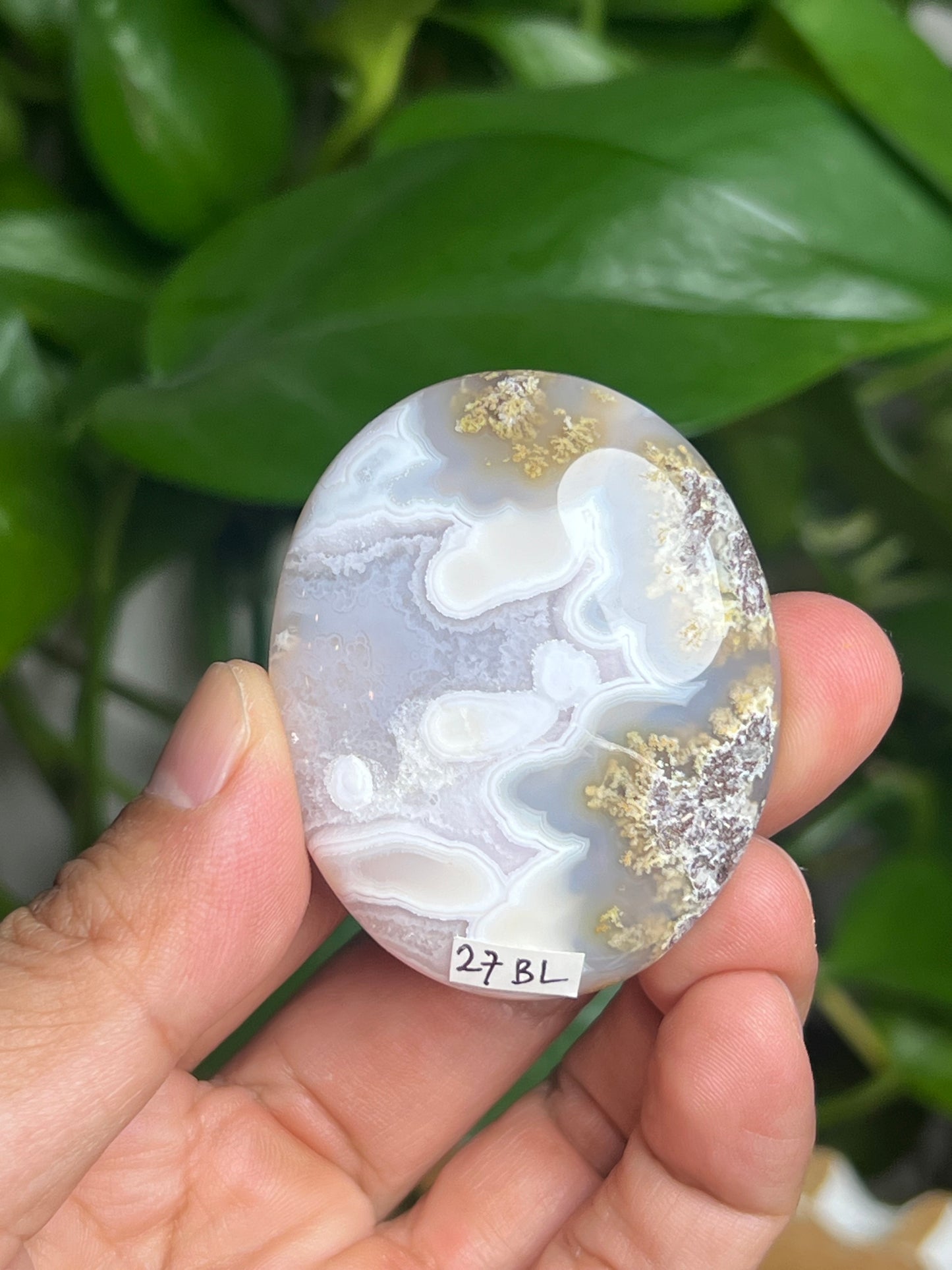 Scenic Moss Agate Palmstone: BL