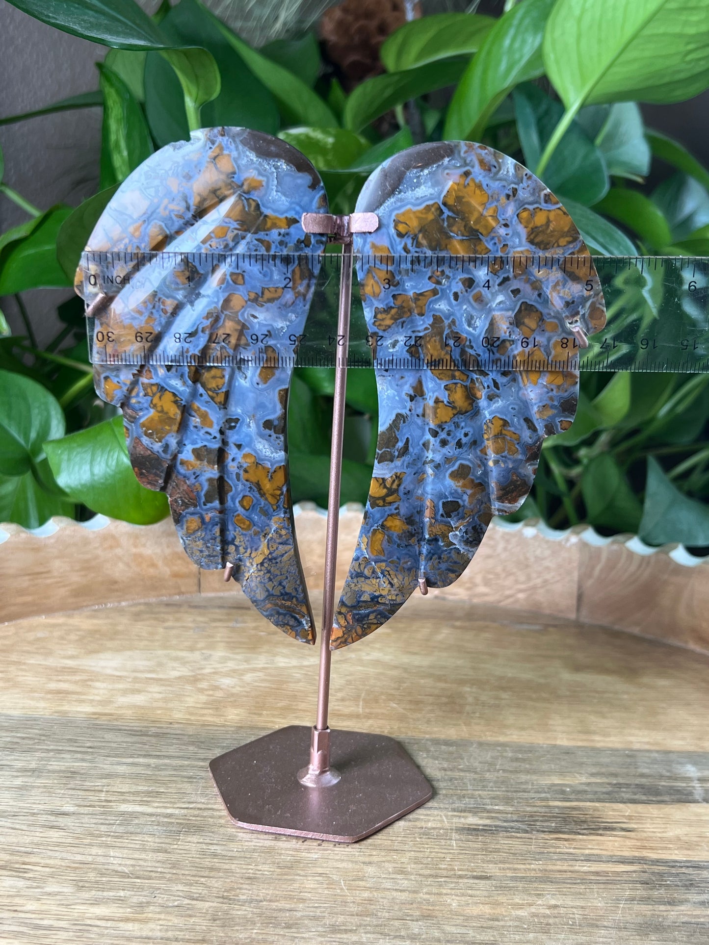 Brecciated Jasper Wings