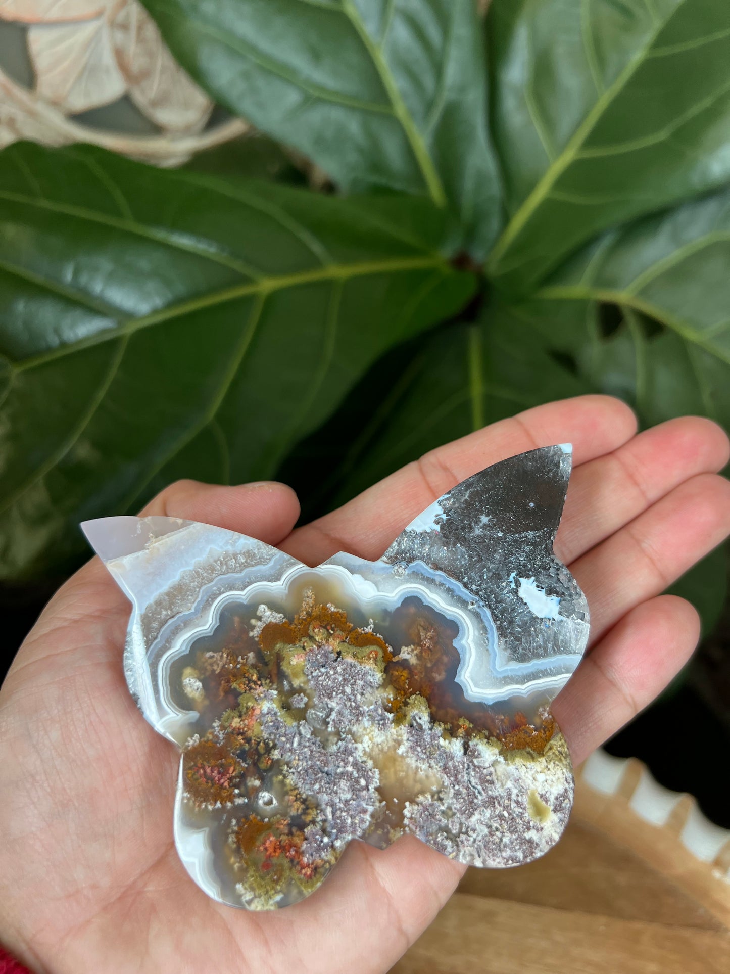 Scenic Moss Agate Butterfly