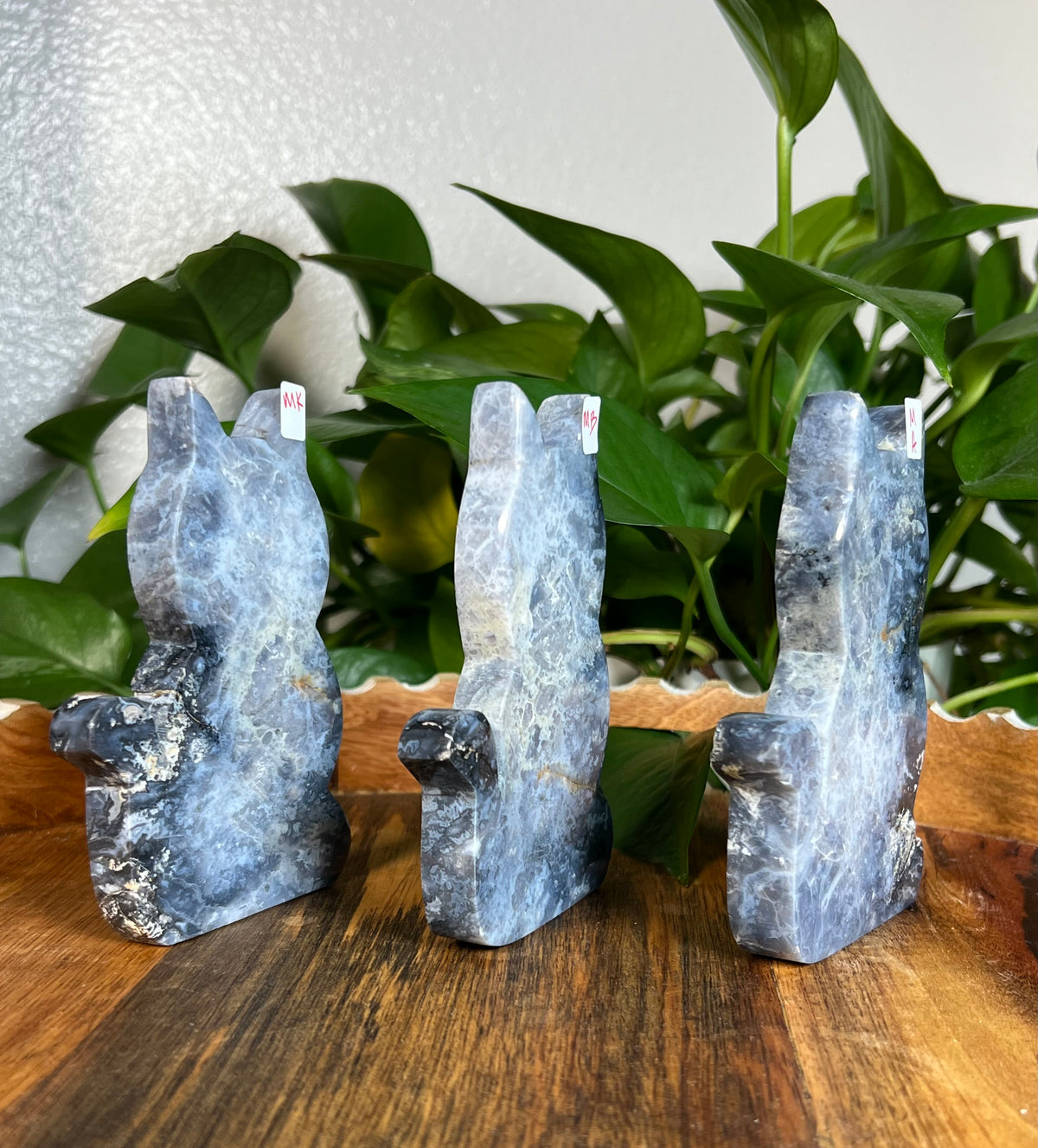 Blue Plume Agate Cats