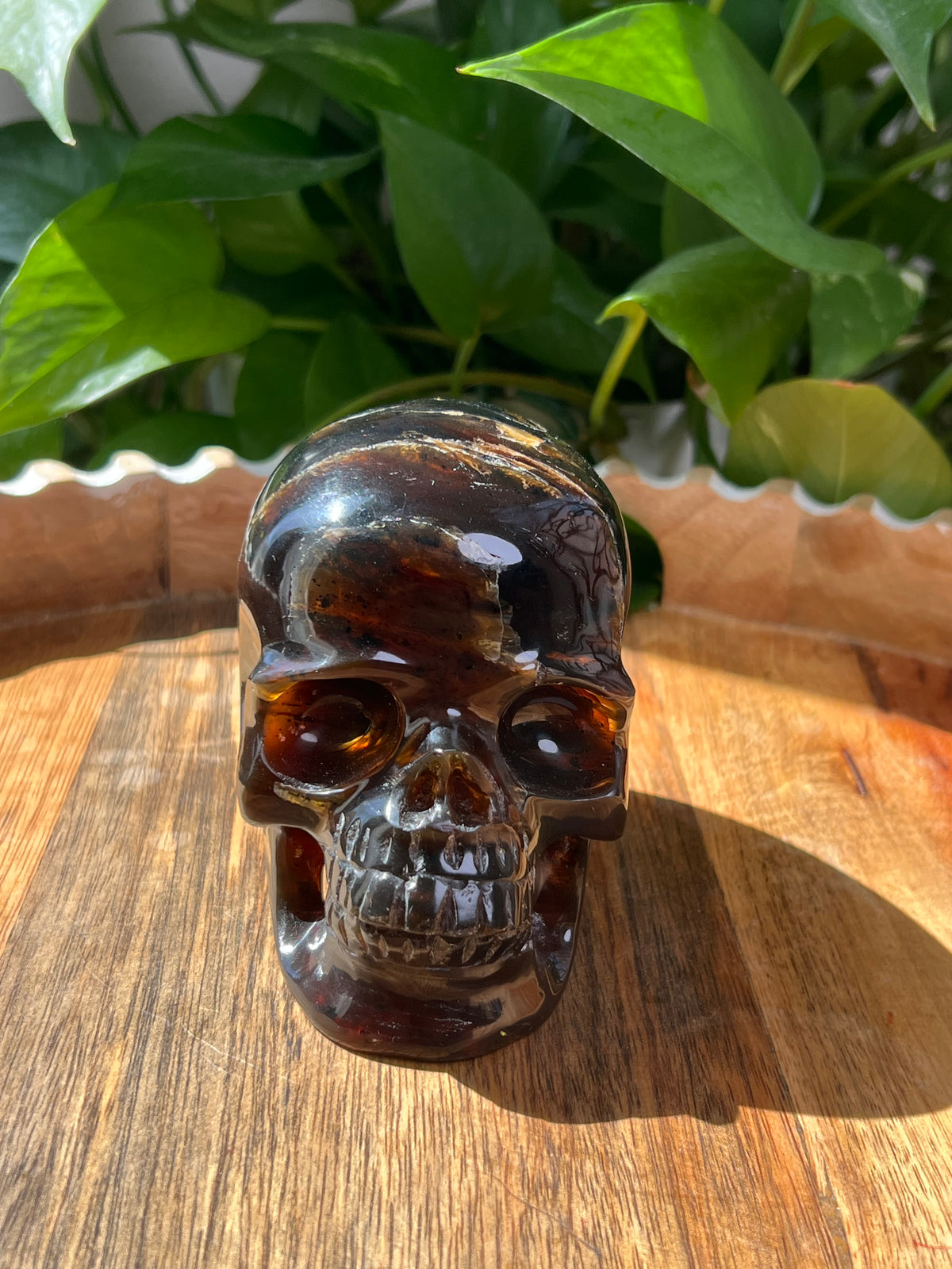 Blue Amber Skull: NB