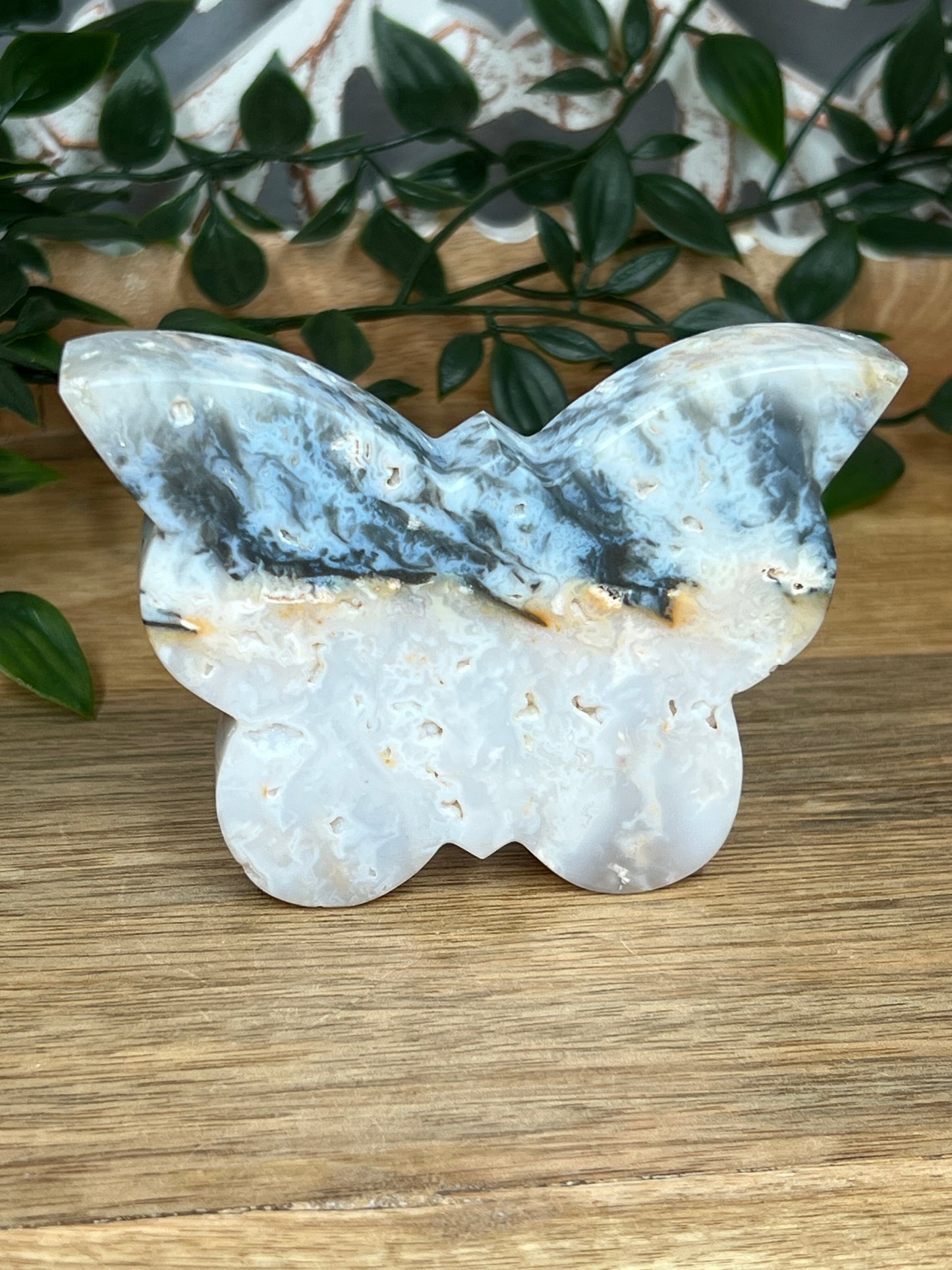 Rainbow Plume Agate Butterfly