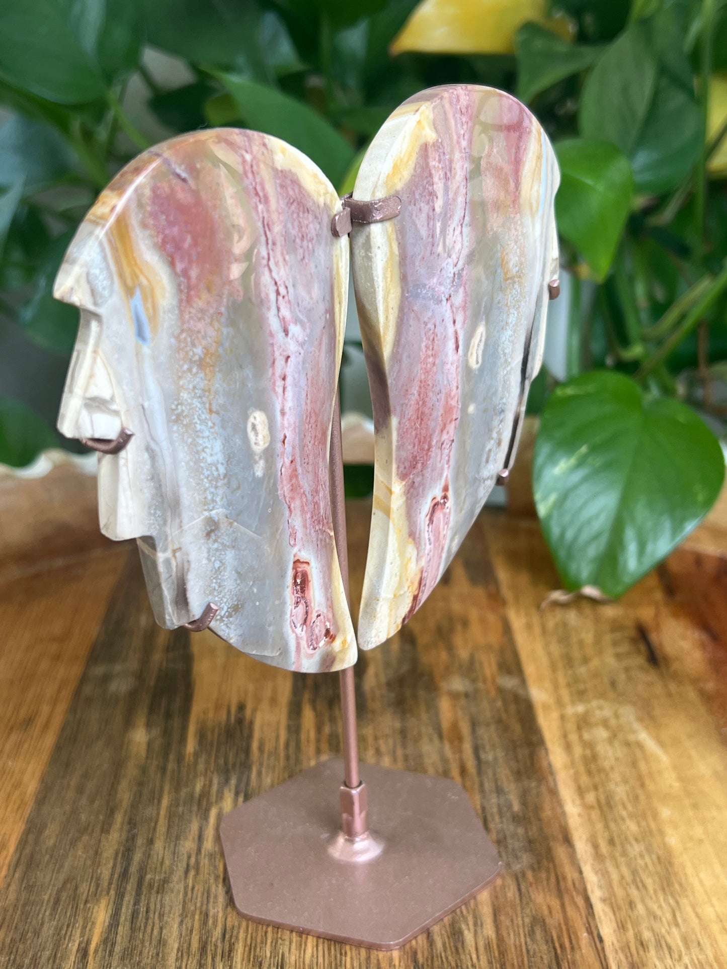 River Jasper Wings BL