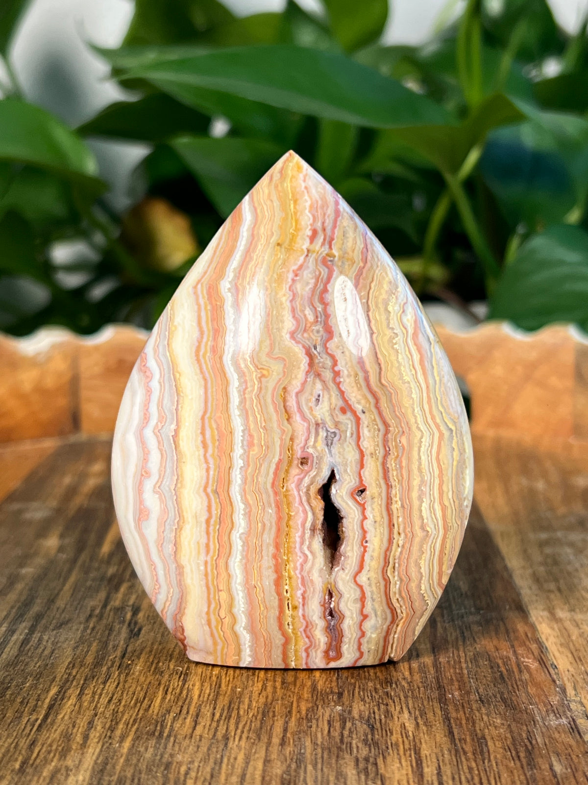 Crazy Lace Agate Flames