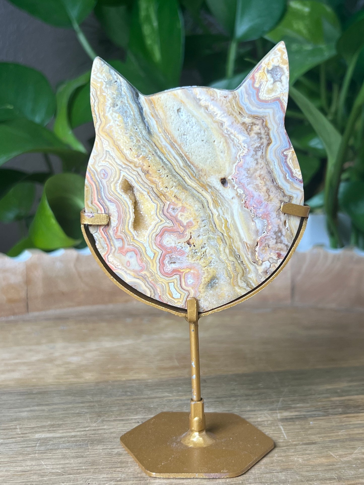 Crazy Lace Agate Cat