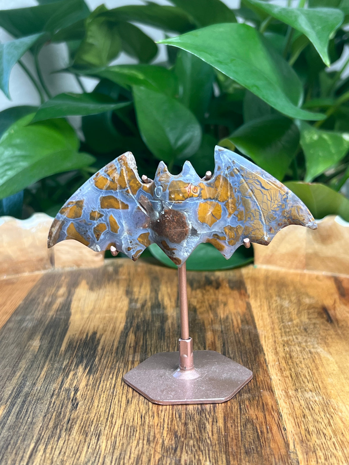 Brecciated Jasper Bat: RG