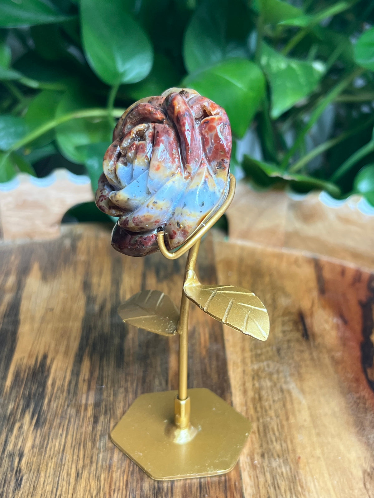 Marcasite Rose: PZ