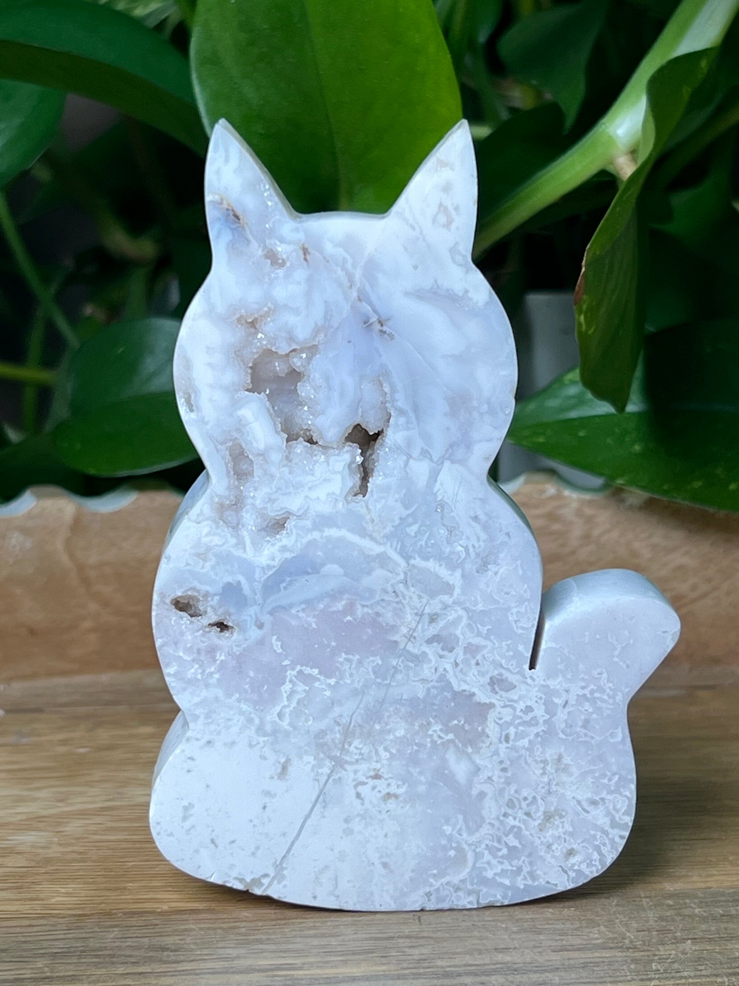 White Plume Agate Cat