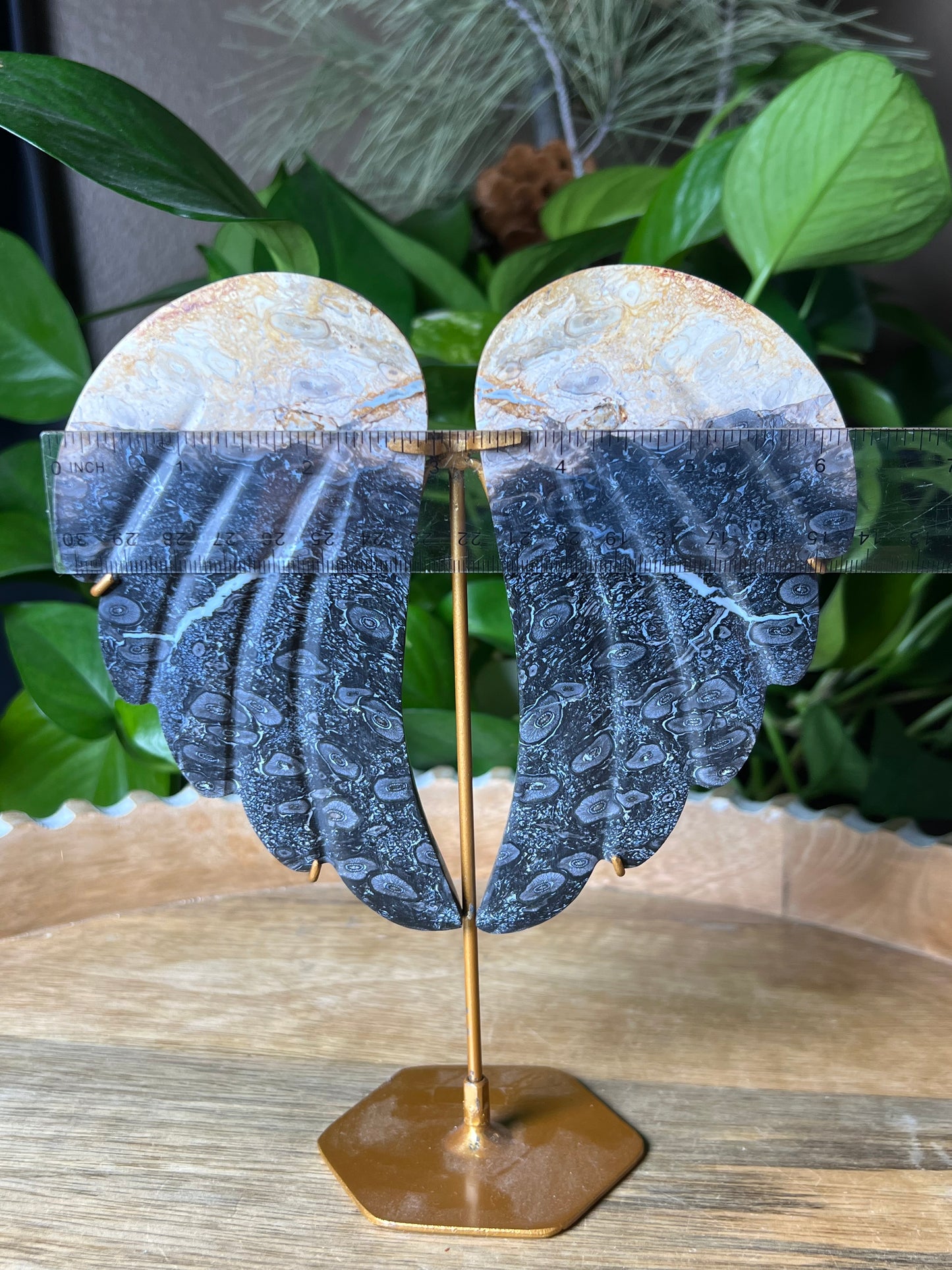 Palm Root Wings