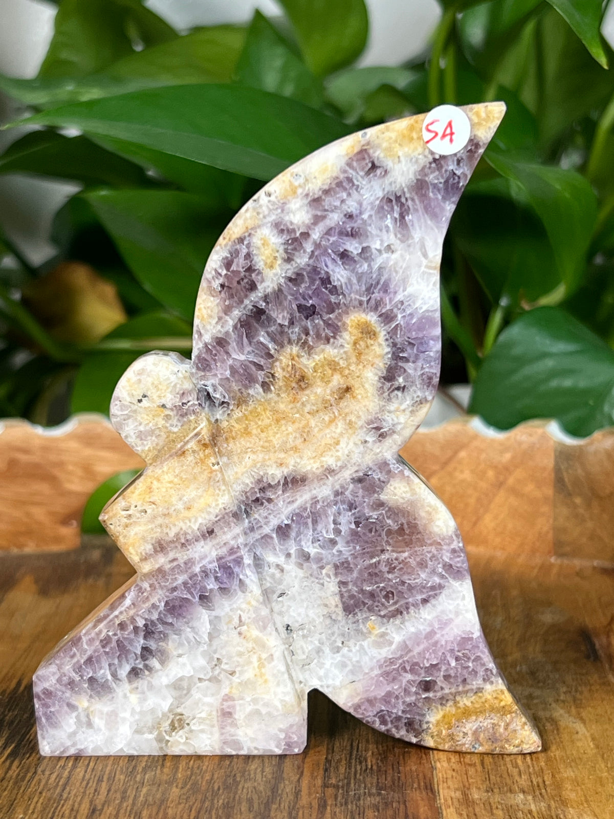 Indonesian Amethyst Fairies