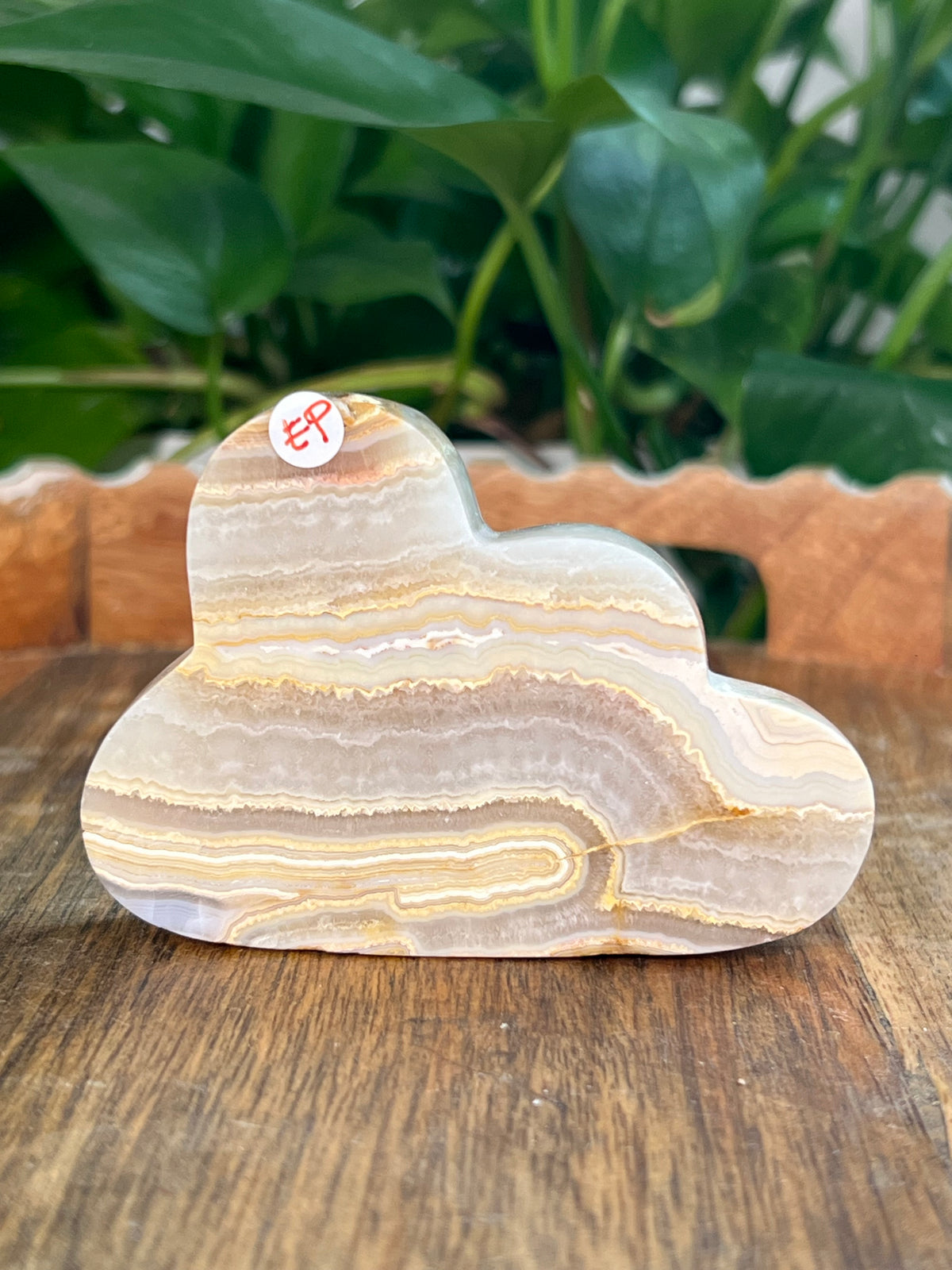 Crazy Lace Agate Clouds