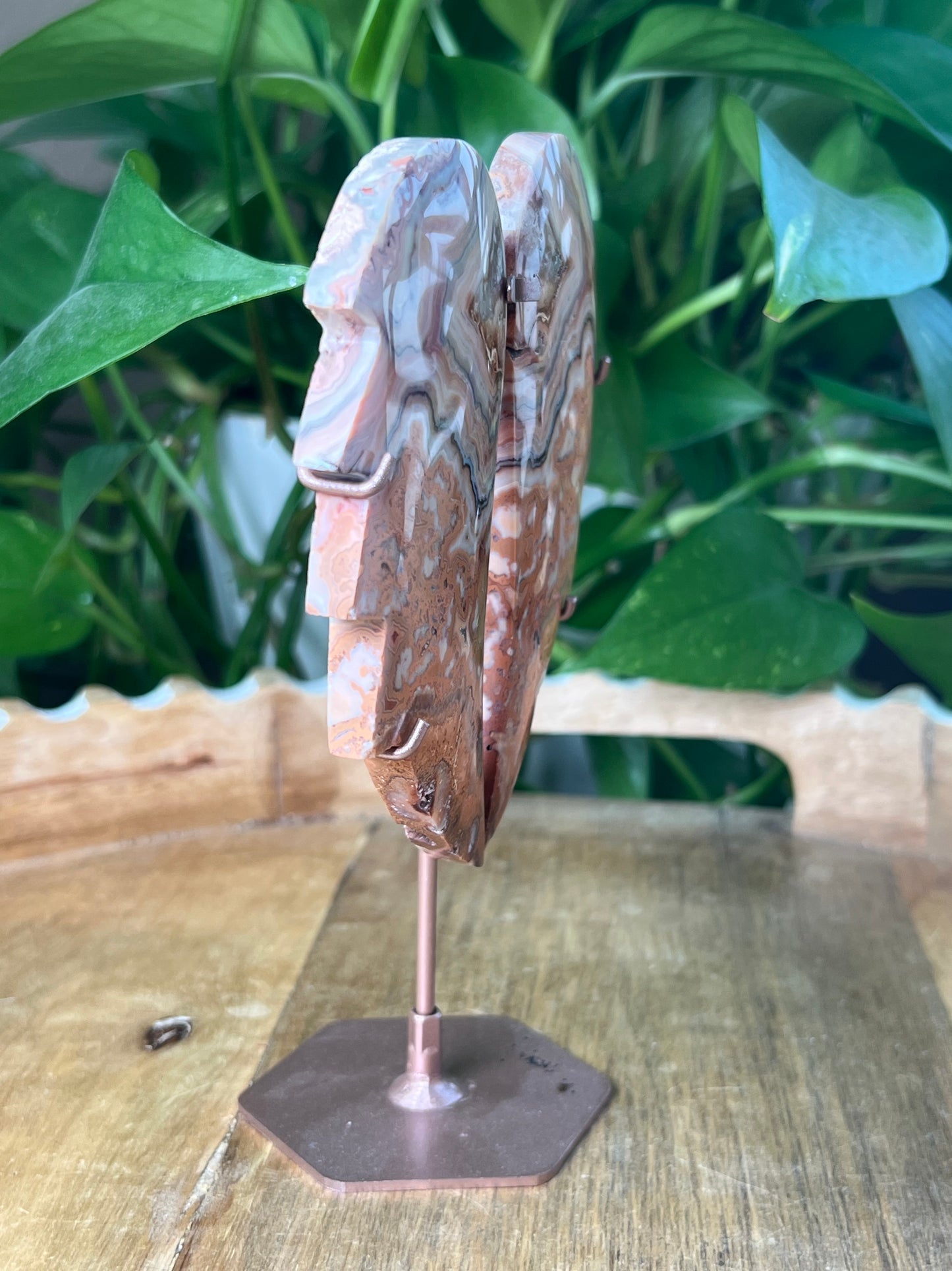 Crazy Lace Agate Wings