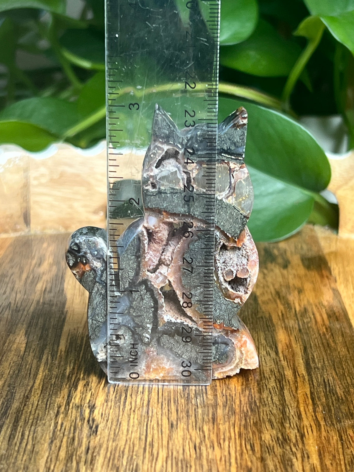 Marcasite Cat: Di