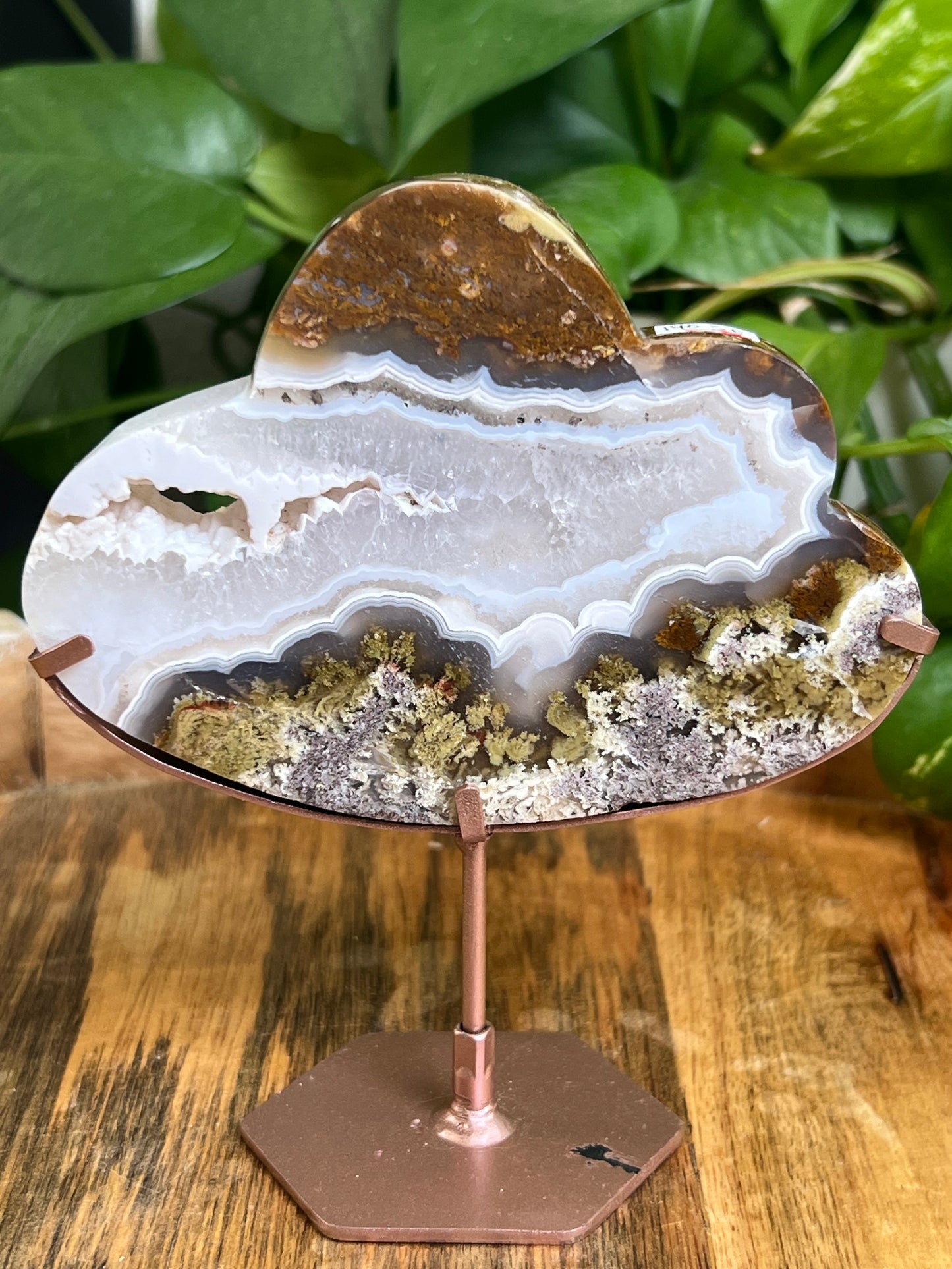 Scenic Moss Agate Cloud