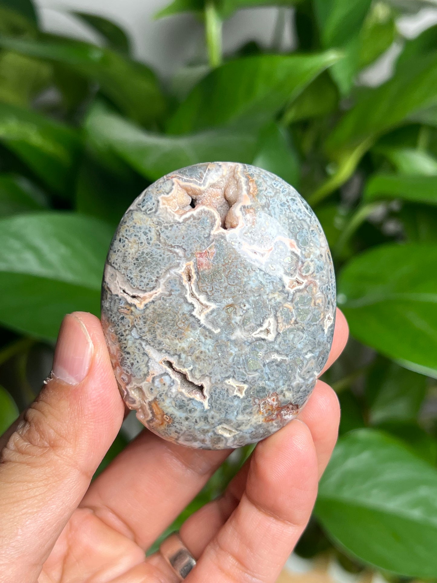 Marcasite Palmstone: LE