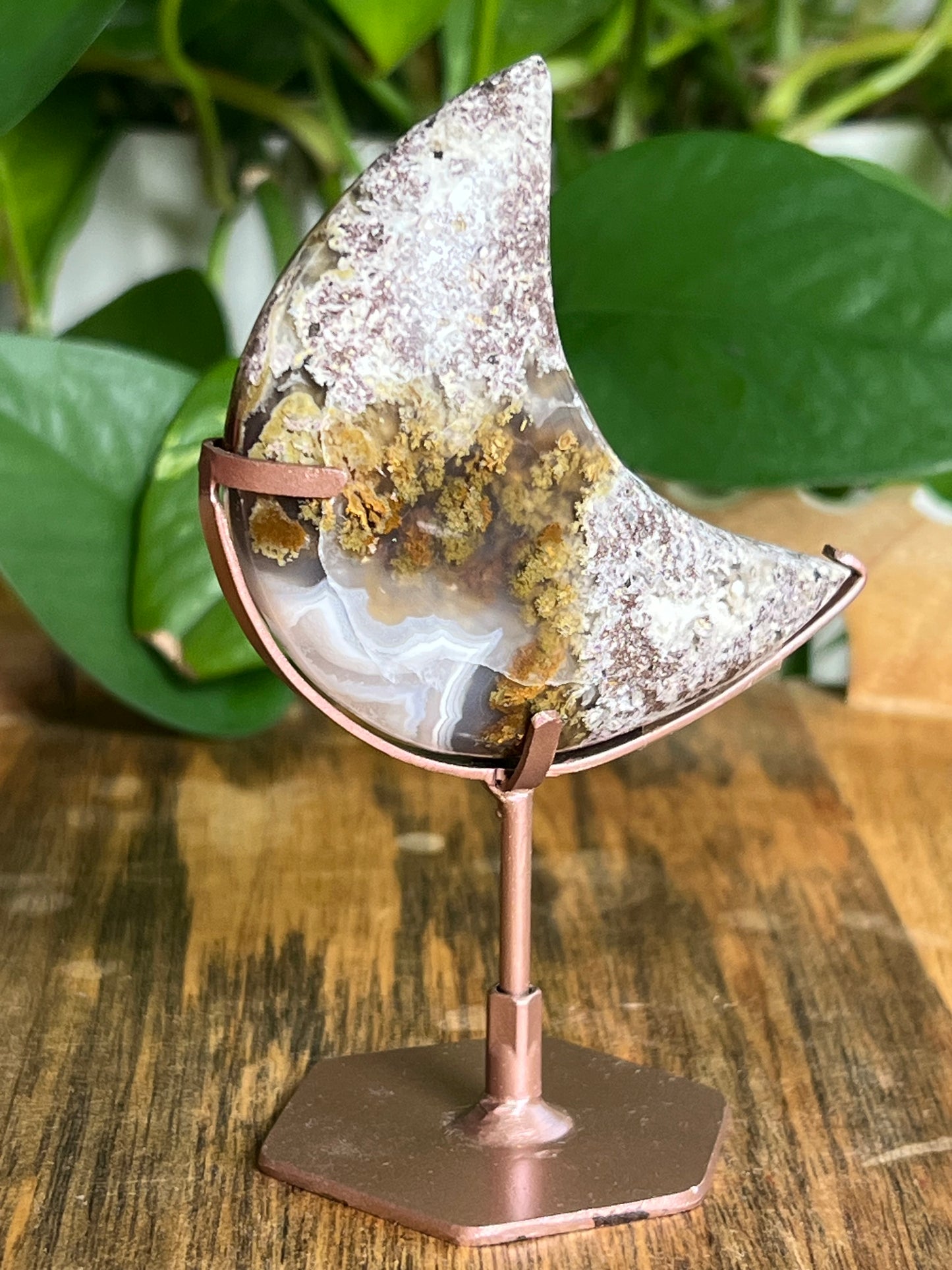 Scenic Moss Agate Moon: I