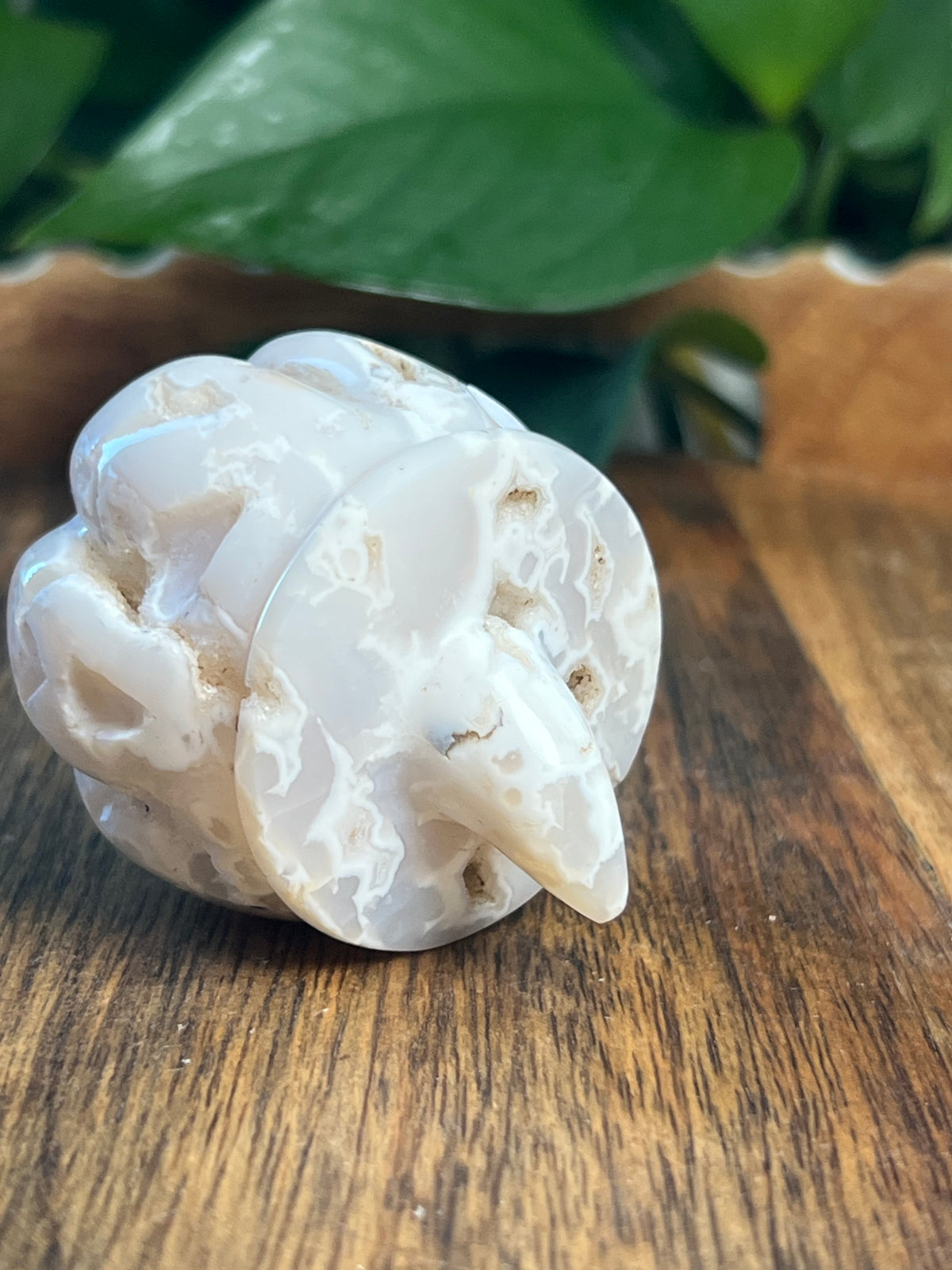 White Plume Agate Pumpkin: E